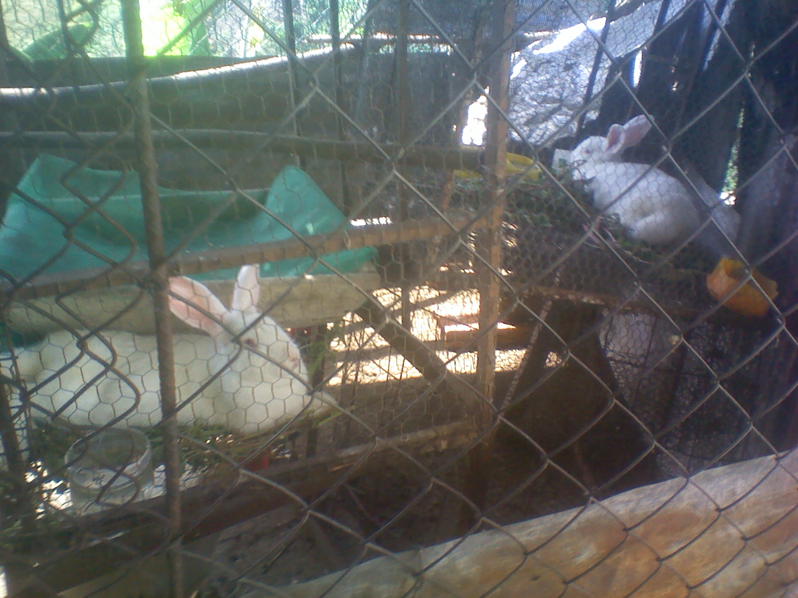 IMG20190720103451.jpg