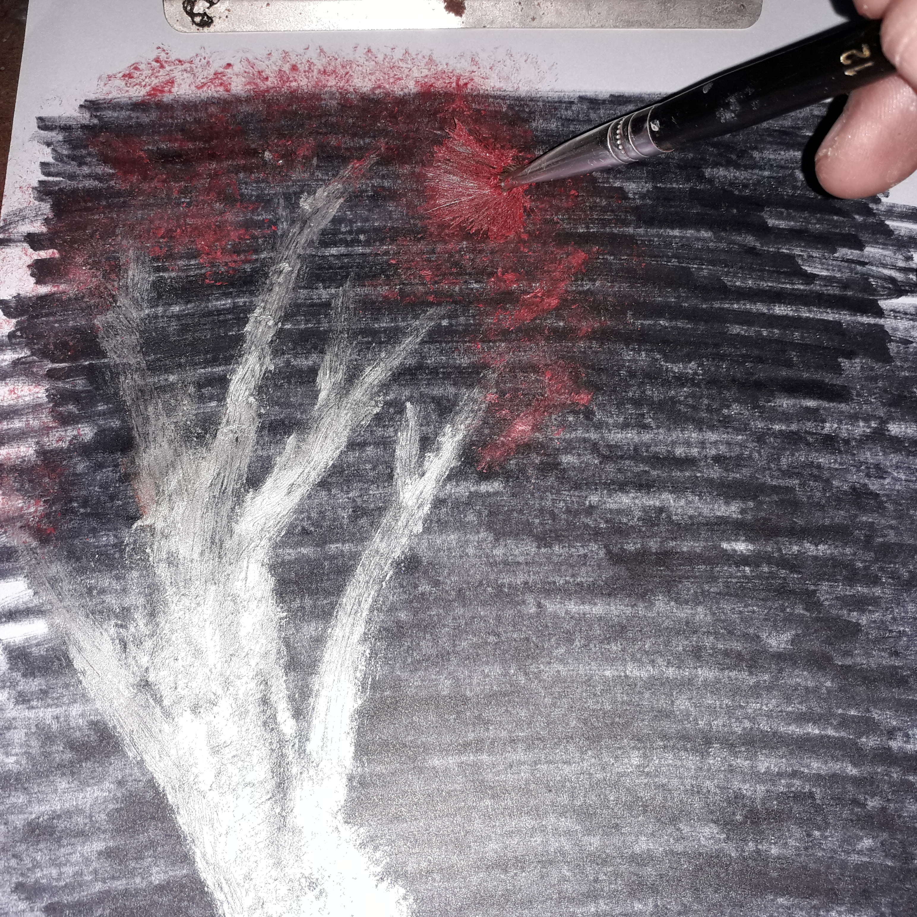 20200218_210050.jpg