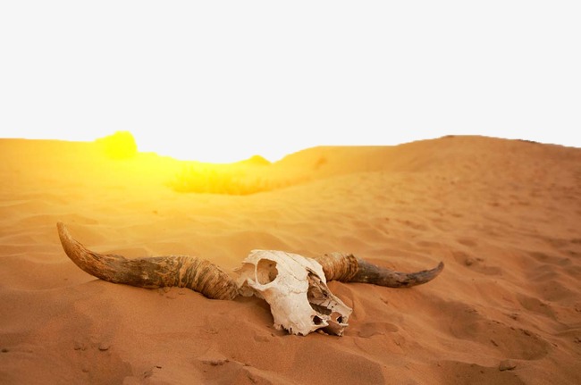 《飞鸟与夏花》每天一首自译飞鸟集（305-306/325） - Translate a poem from Stray Birds every day