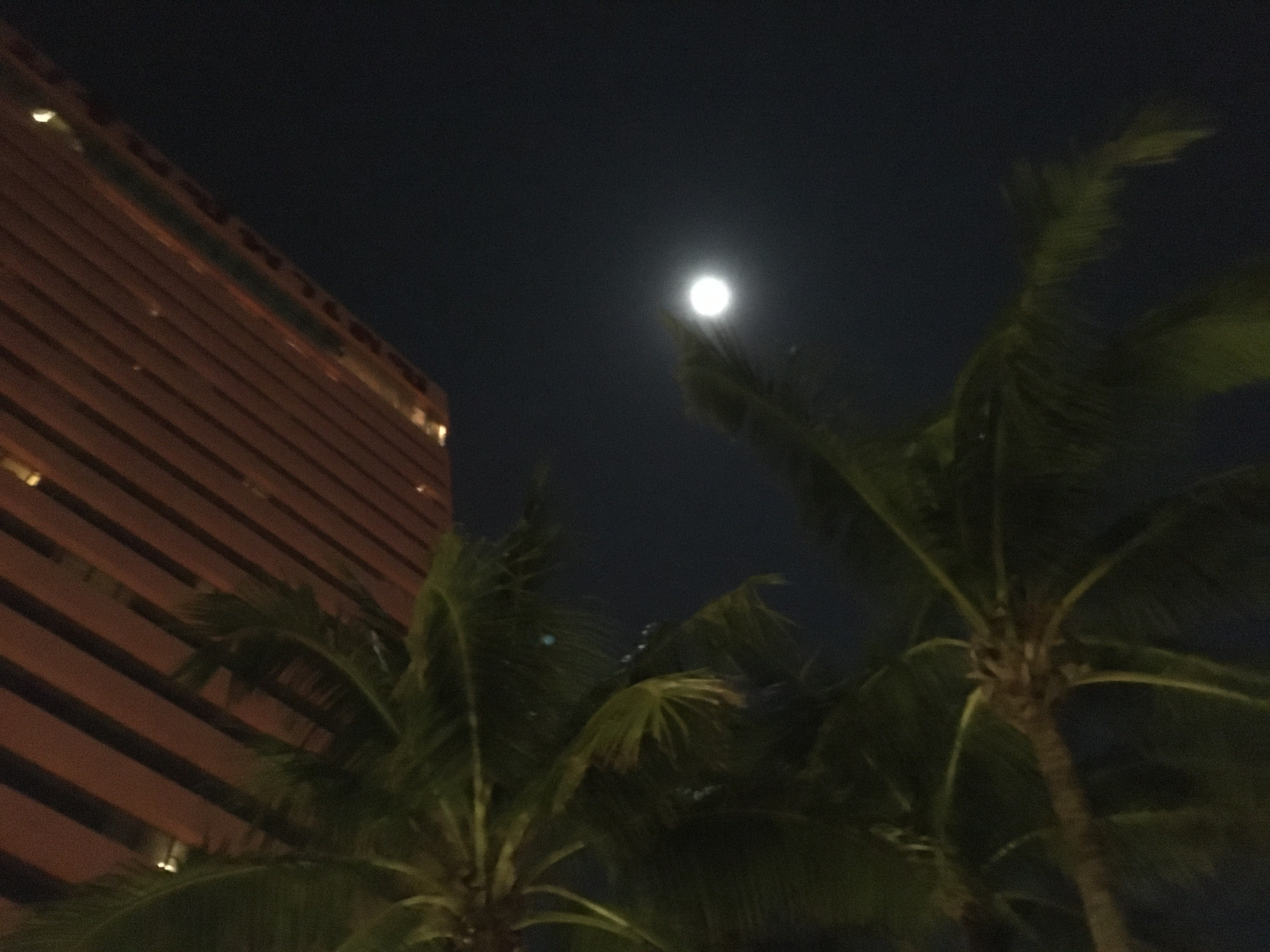 F66DD860-1C7E-43A1-9608-5B09197E920A.jpeg