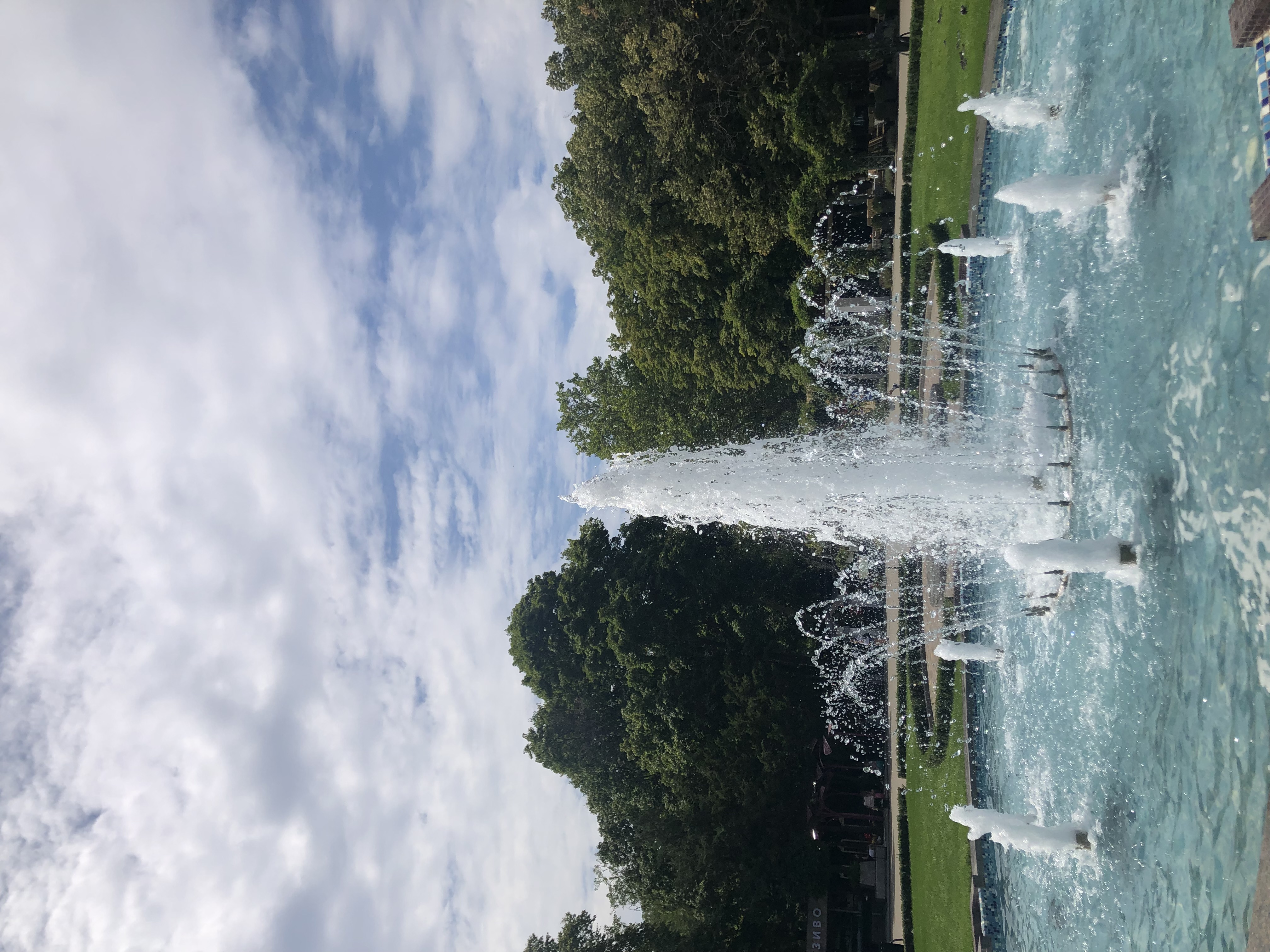 IMG_2542.jpeg