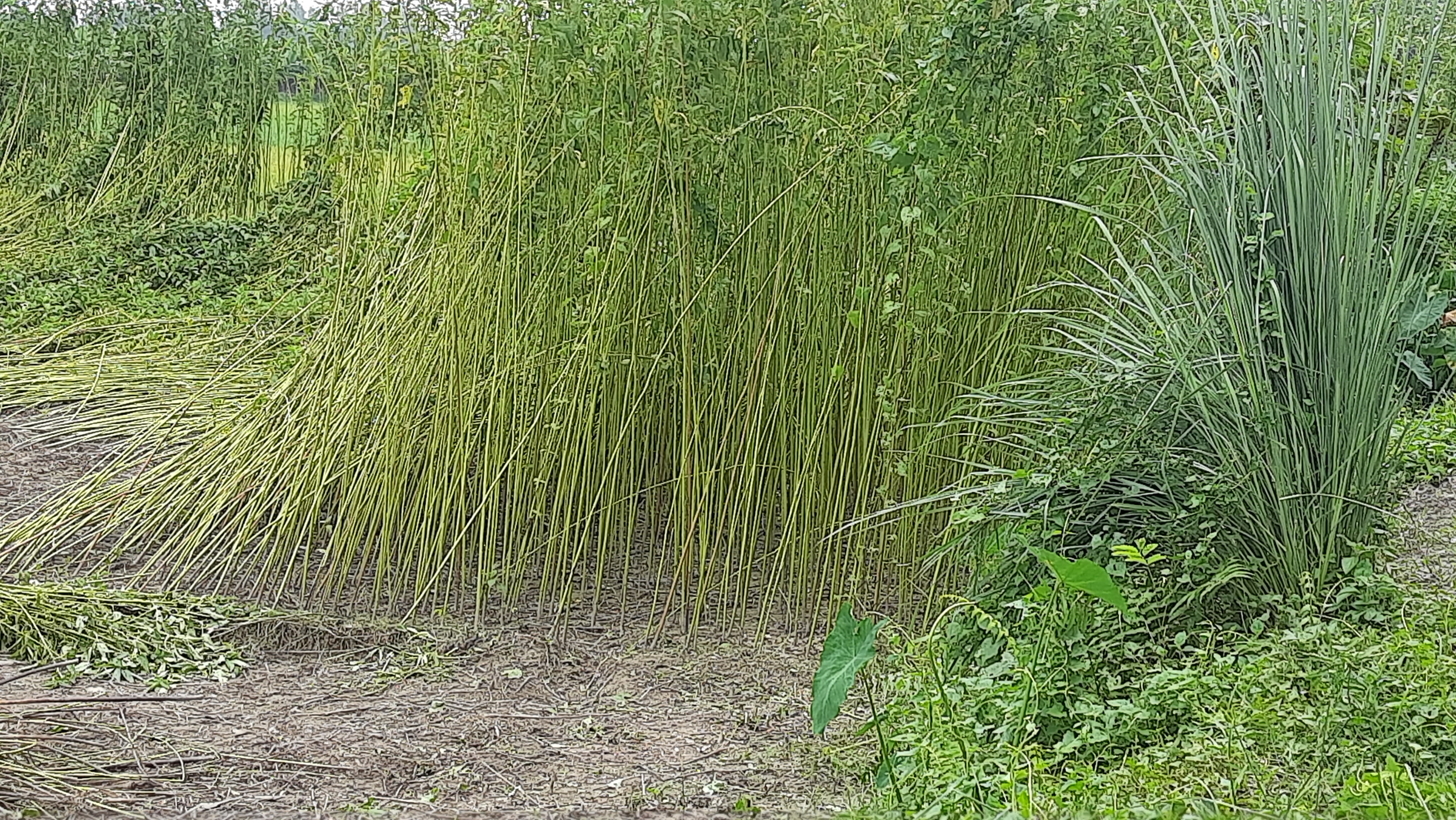 20230815_112334.jpg