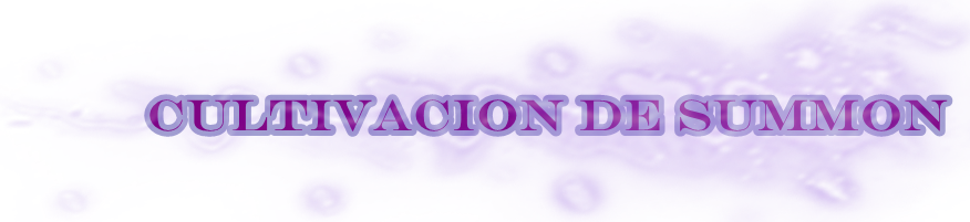 culti.png