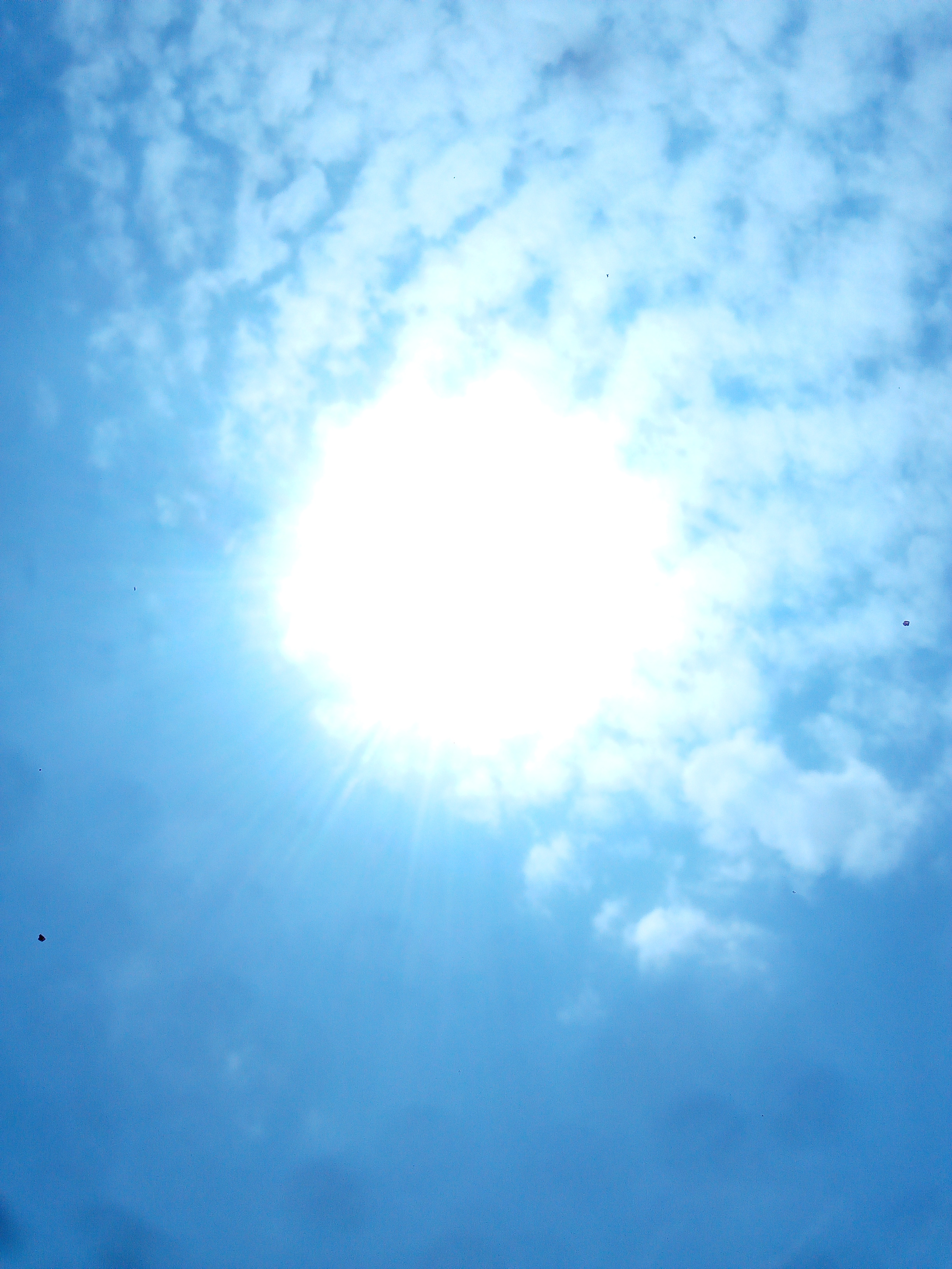 IMG_20200927_104847.jpg