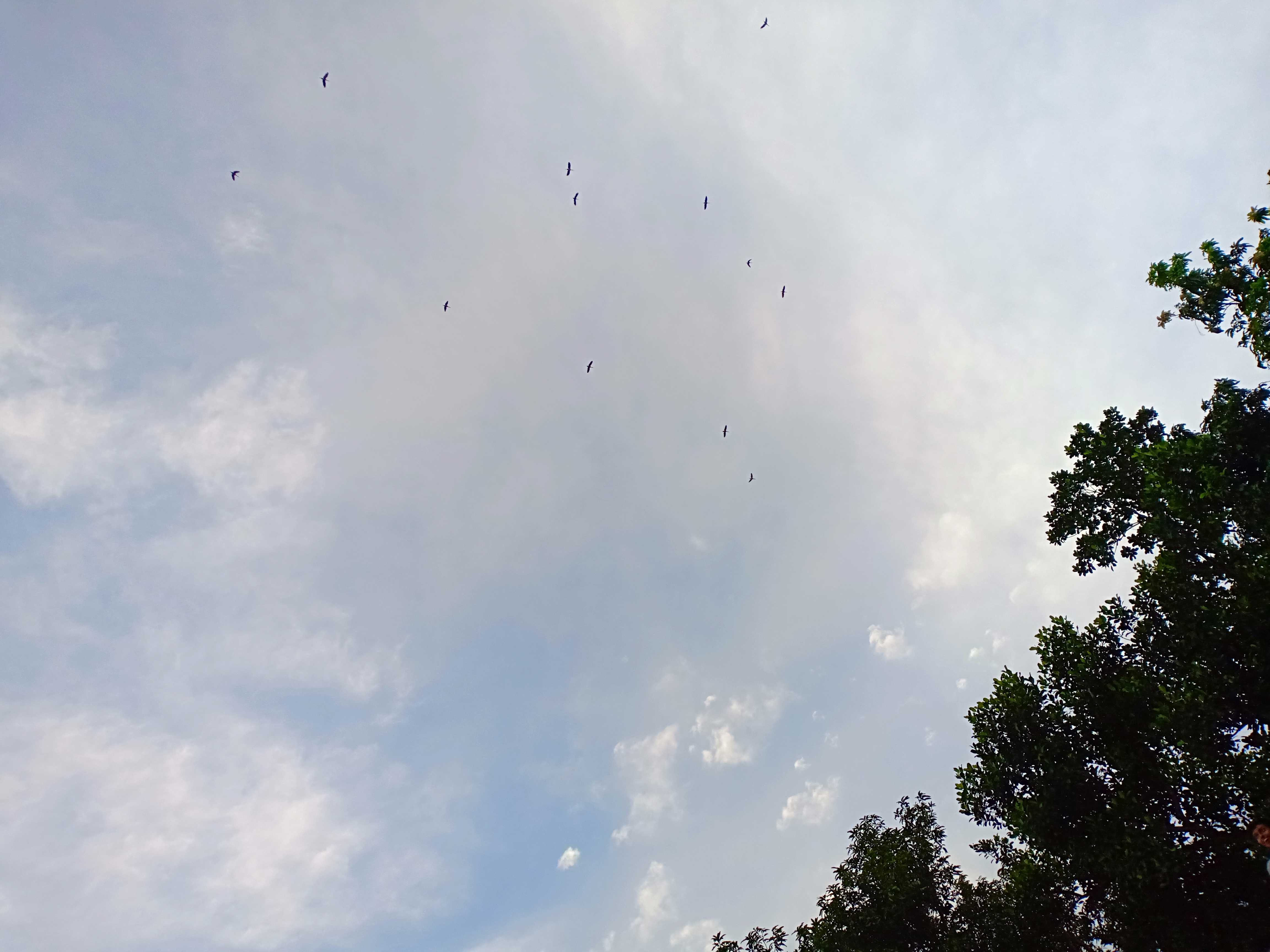 IMG20180820180029.jpg