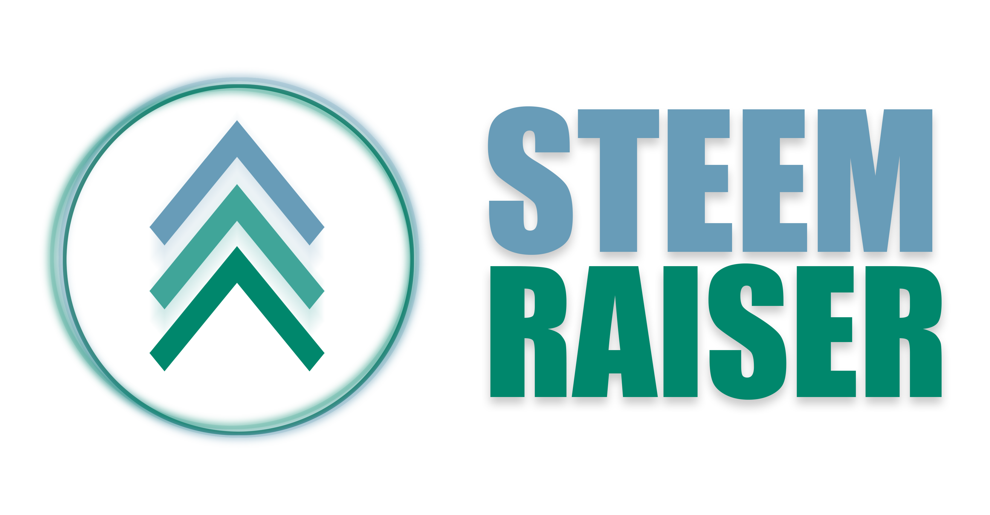 RaiserLogo.png