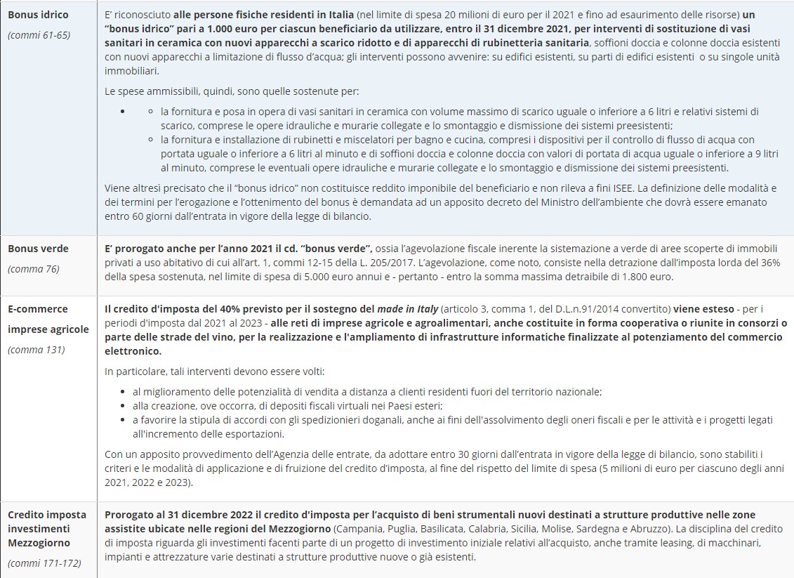 Immagine 2021-01-08 150920.jpg