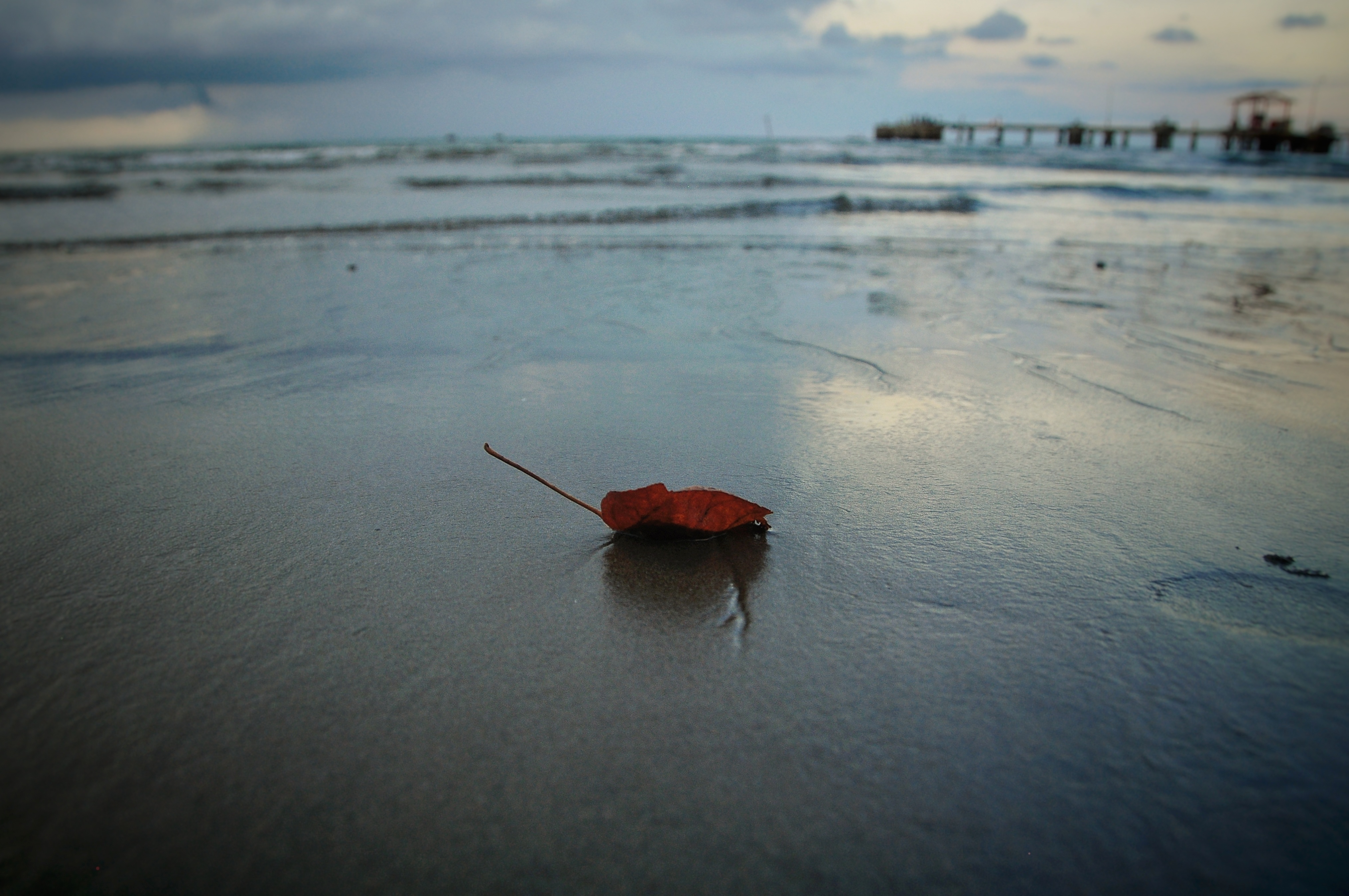 DSC_0911-01-02.jpeg