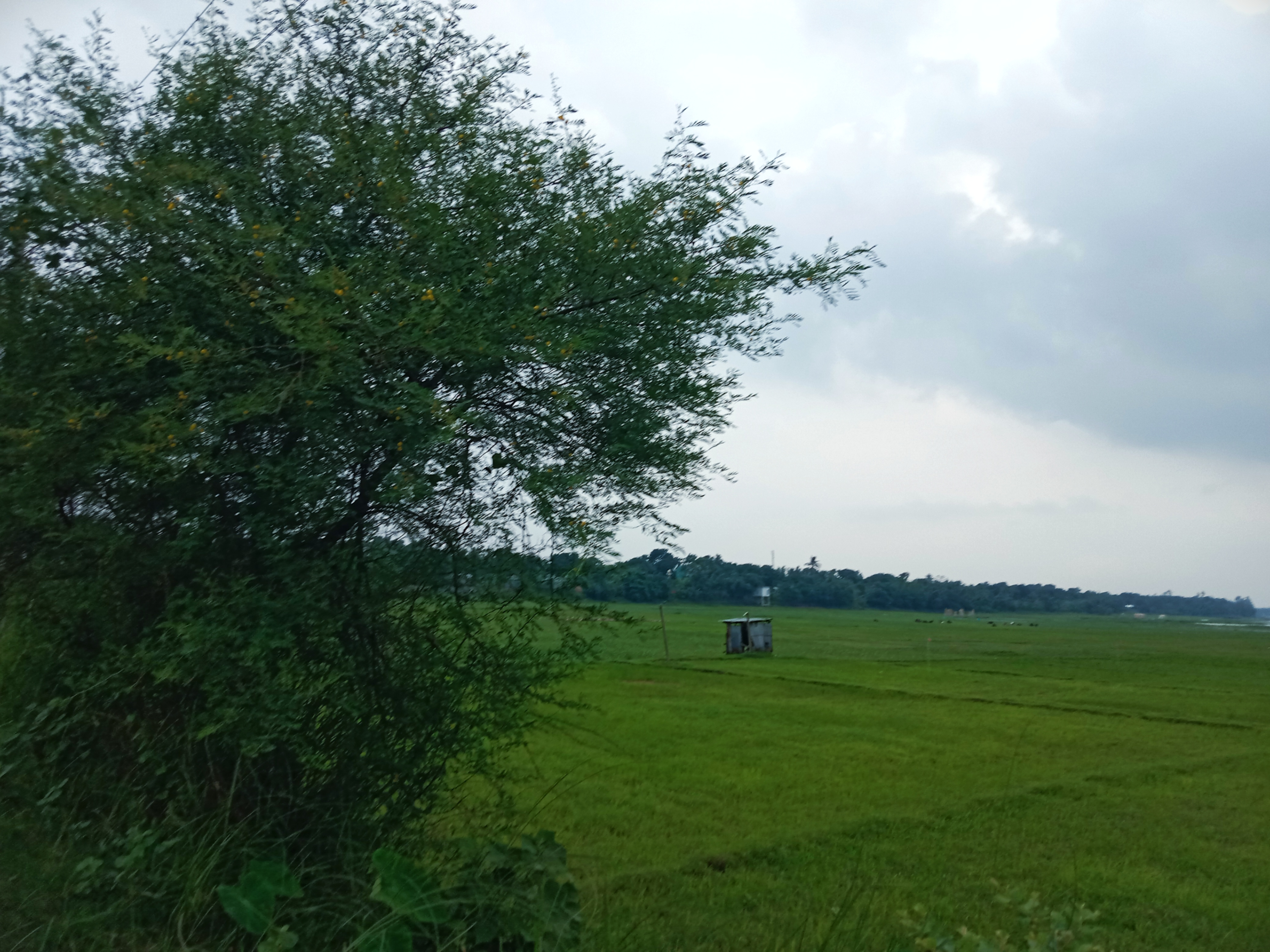 IMG_20260722_110046.jpg