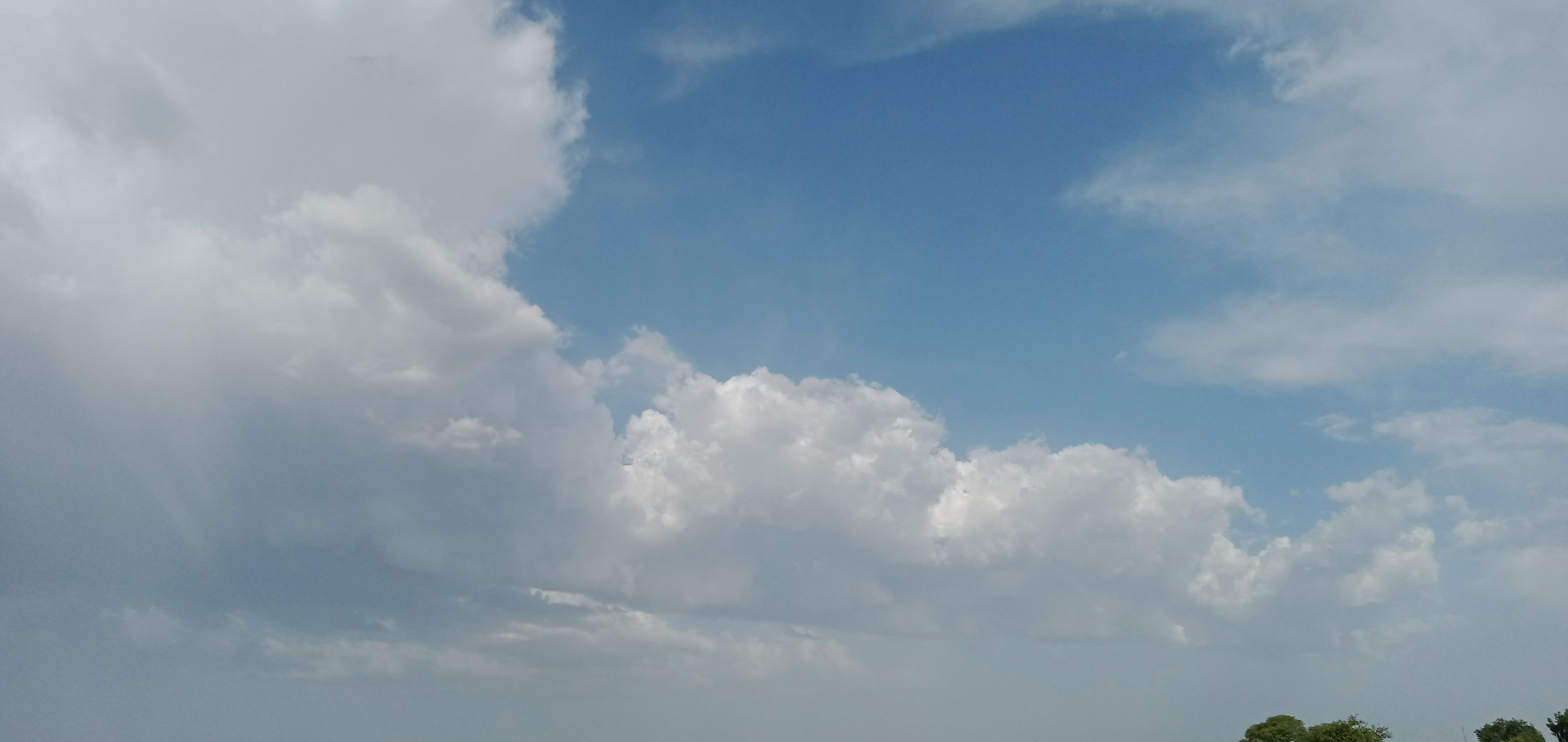 IMG20210525065541.jpg