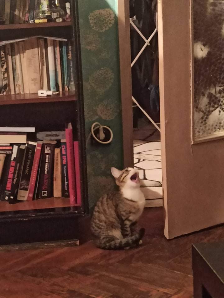 received_216208093423075.jpeg