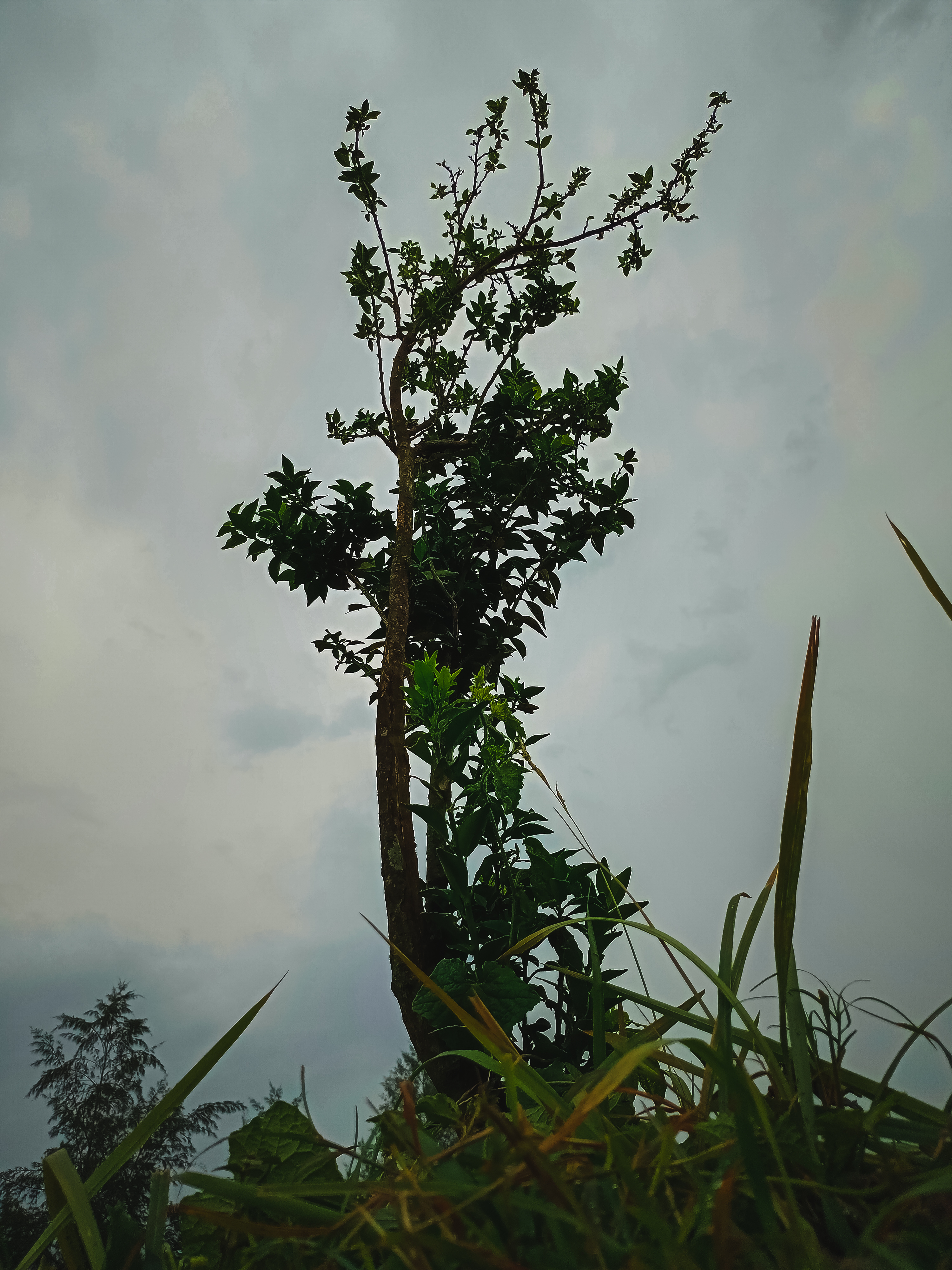 IMG20230523172640.jpg