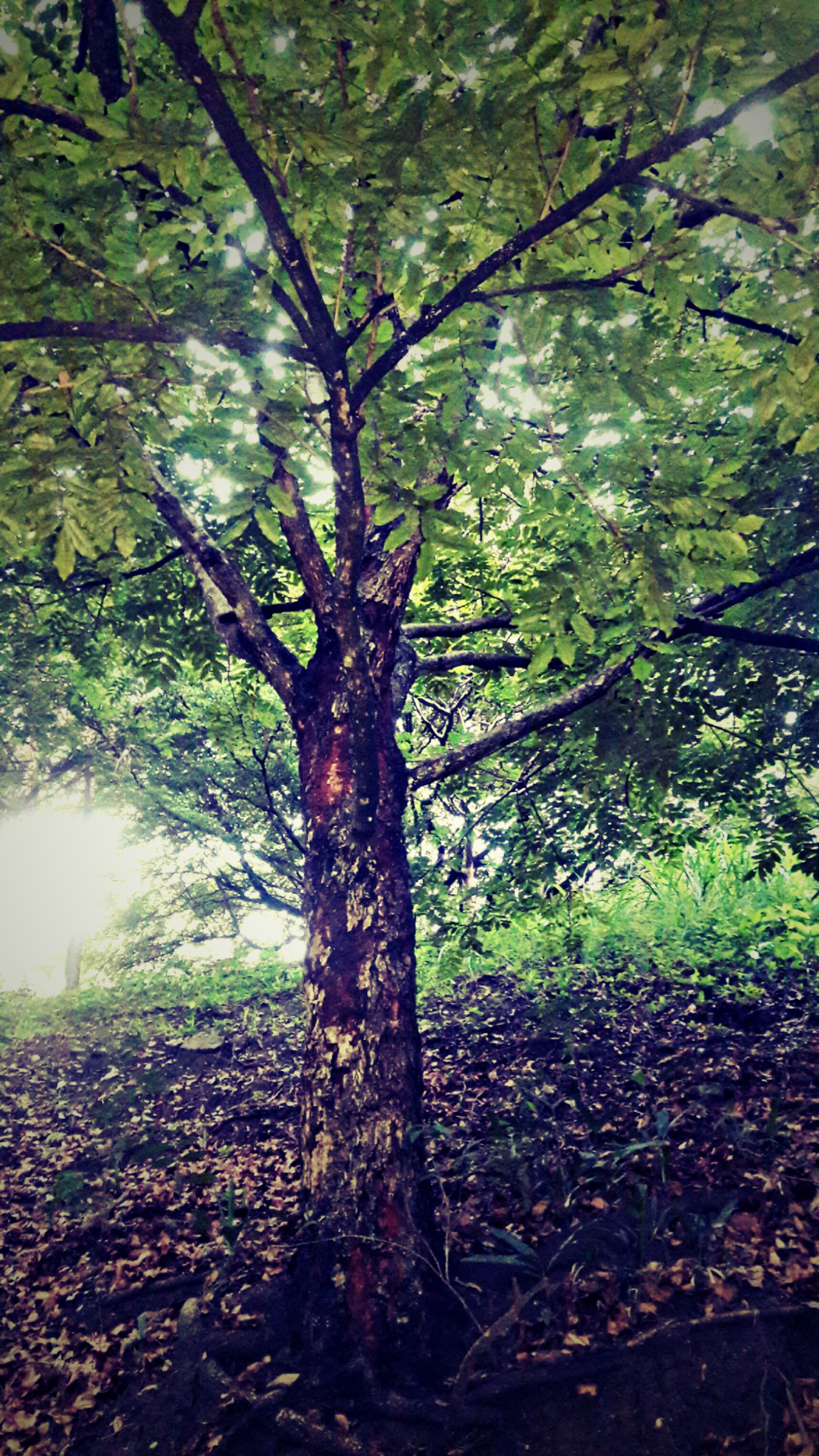 PicsArt_06-20-07.12.02.jpg