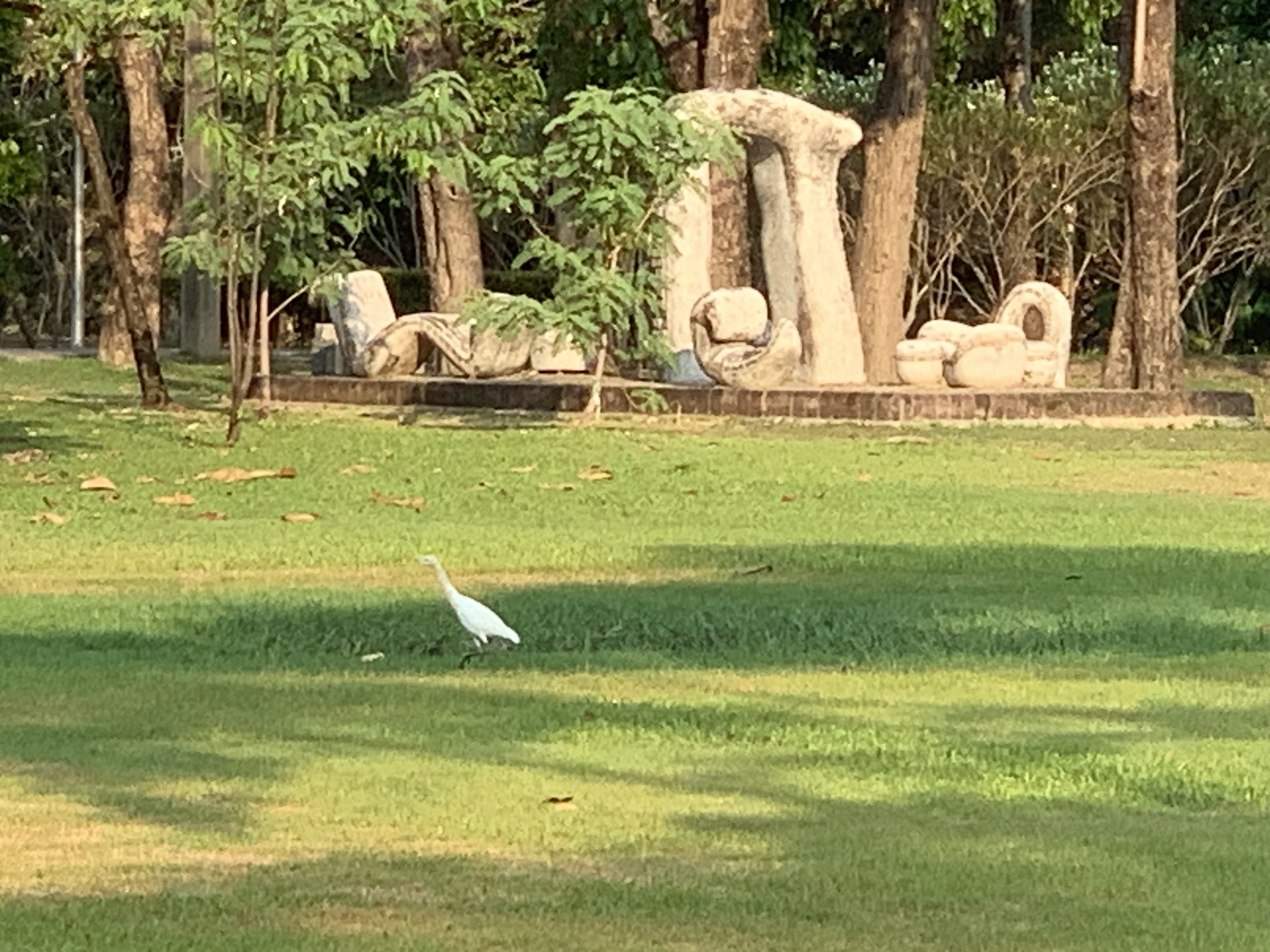 birdwatching spots33.jpg
