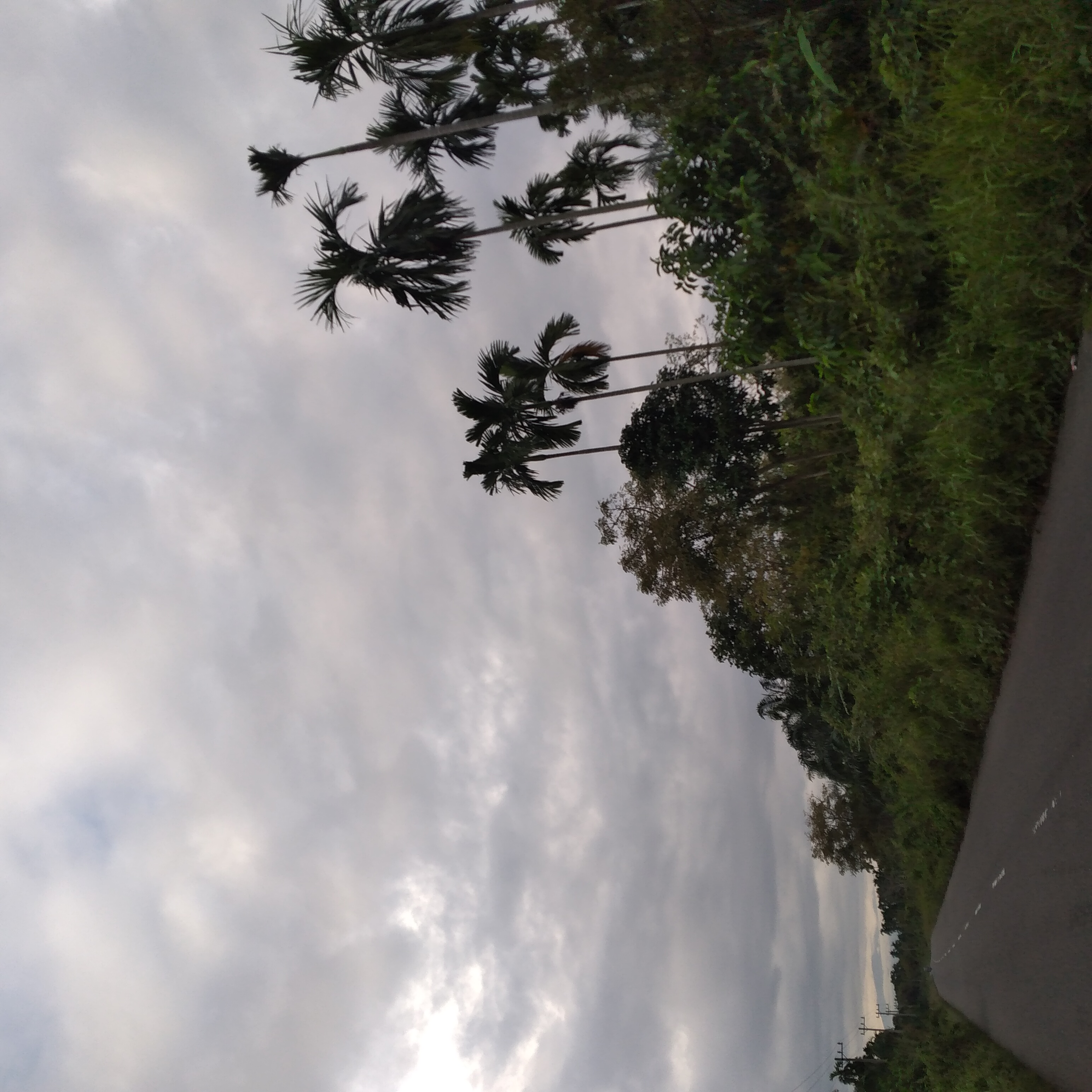 20221228_073349.jpg