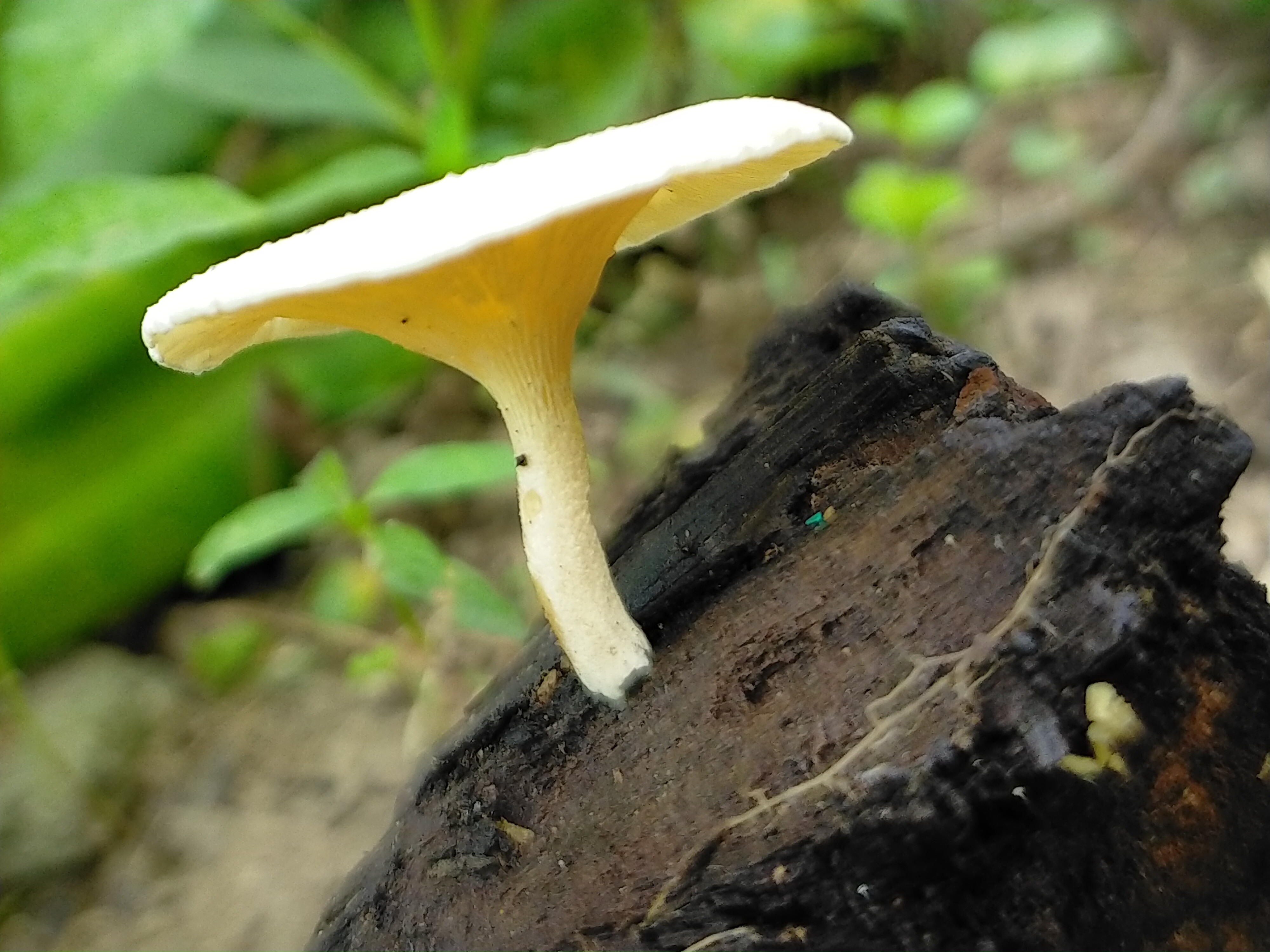 IMG20211229131217.jpg