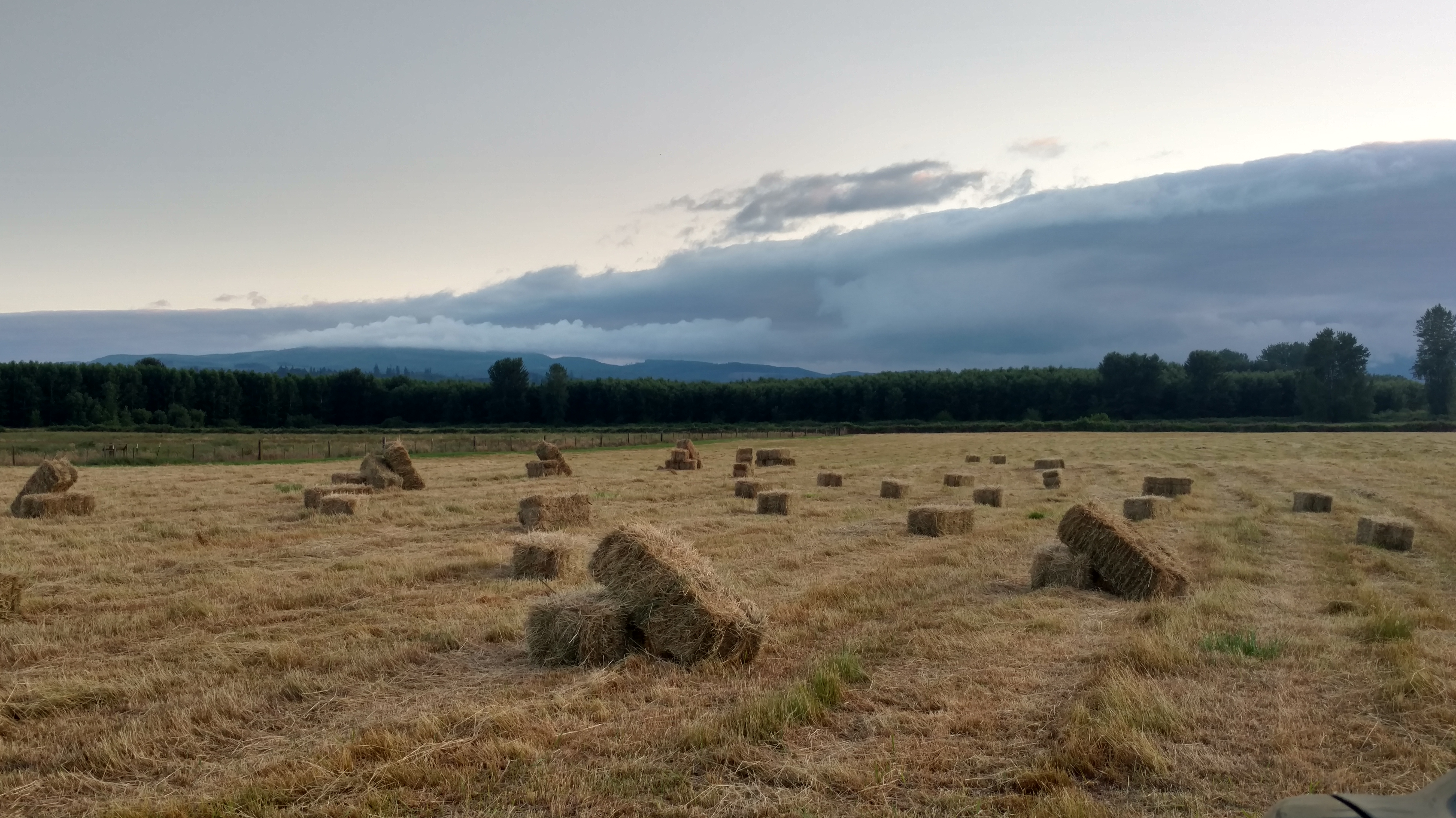 IMG_20190707_202802486_HDR.jpg
