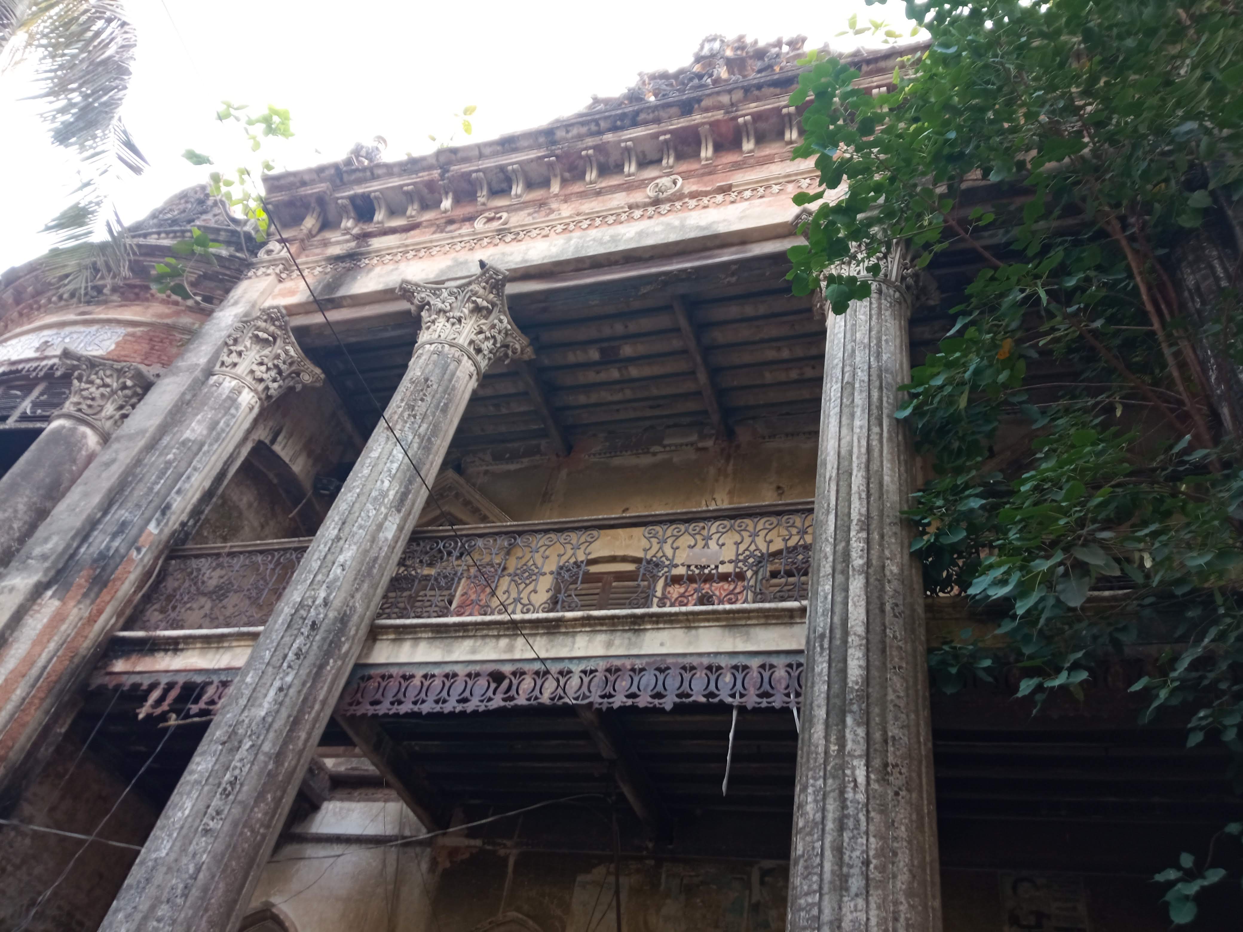 birulia (1).jpg