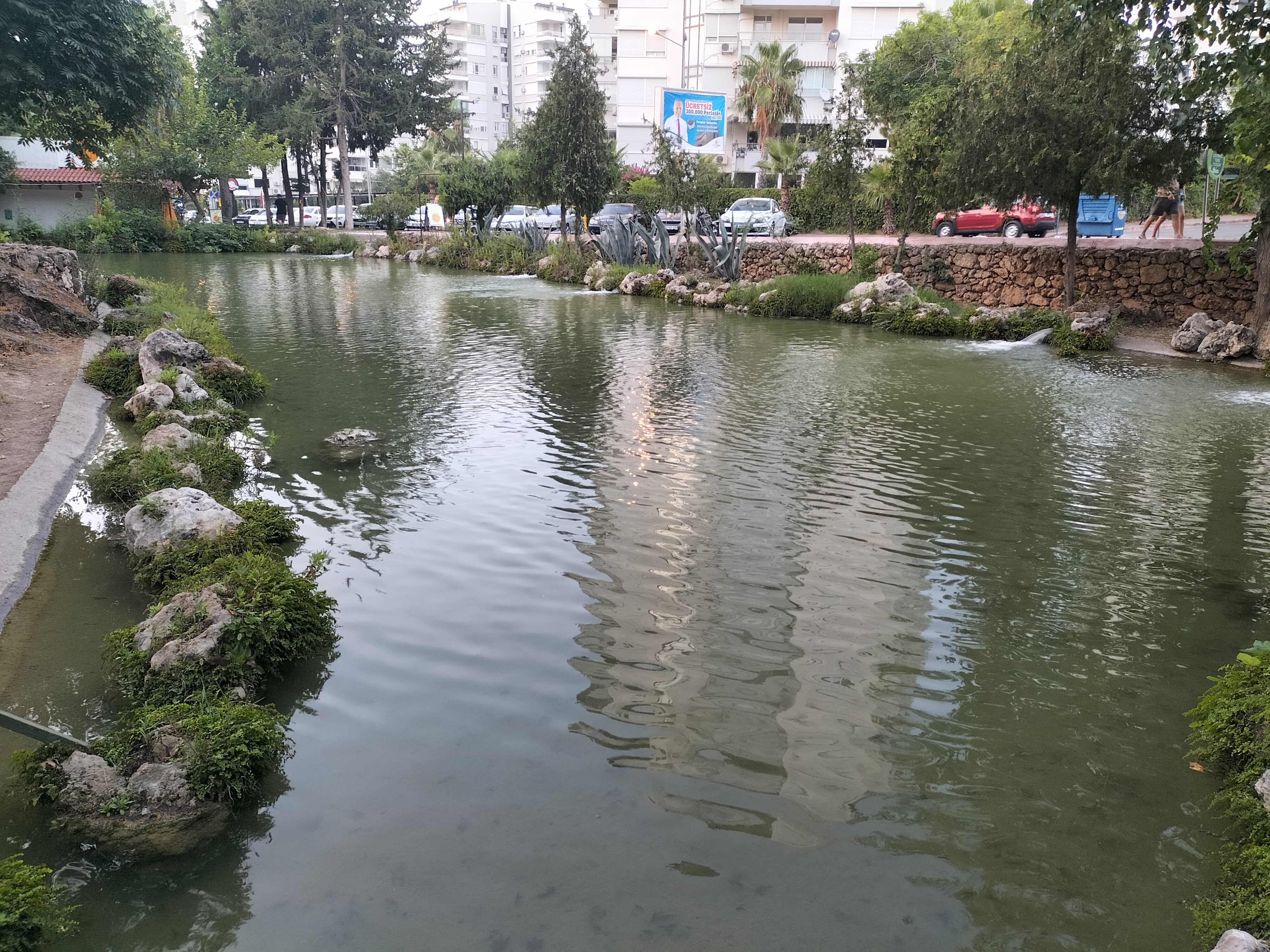 IMG20220814193255.jpg
