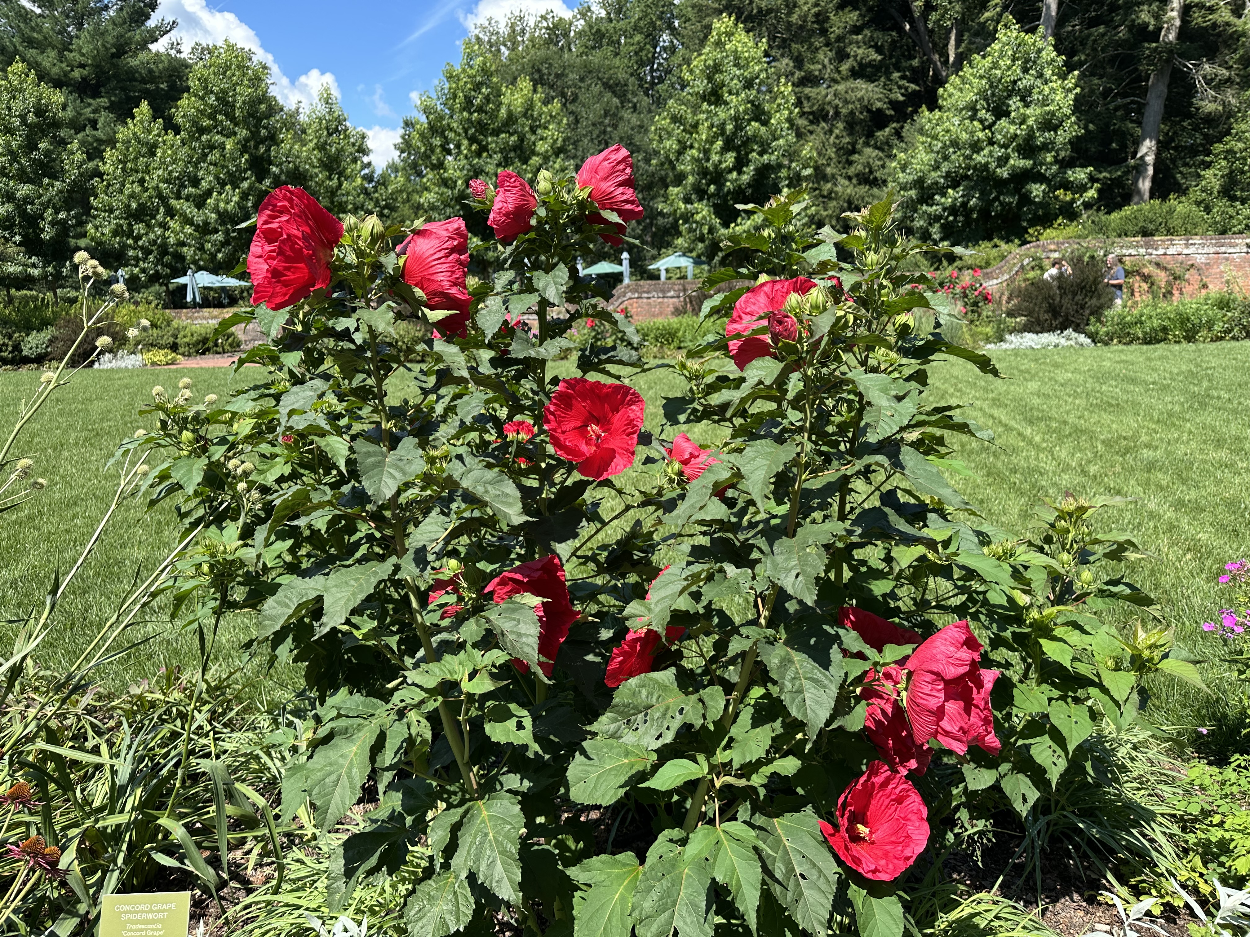 IMG_5576.jpeg