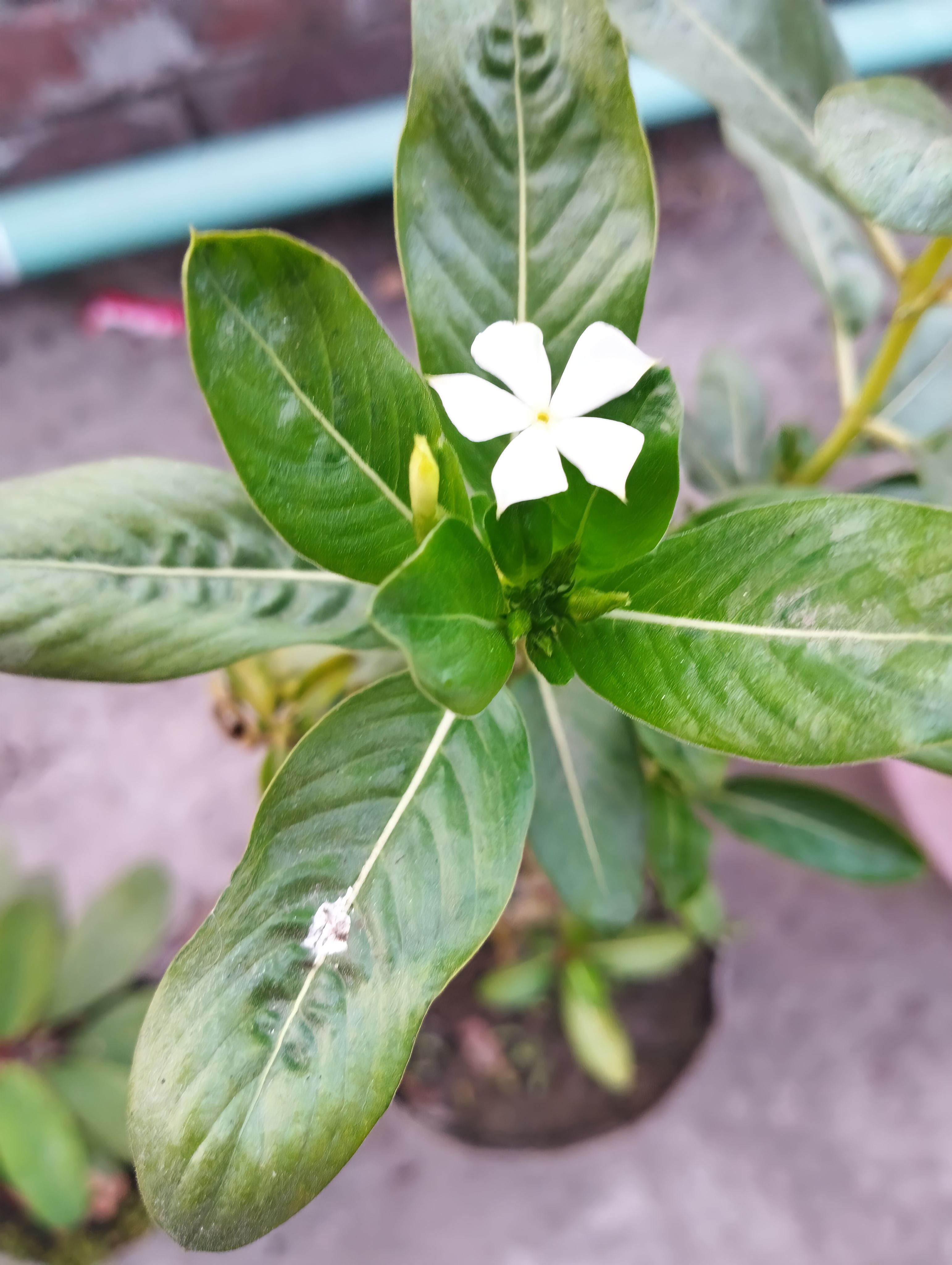 1703340552596.jpg