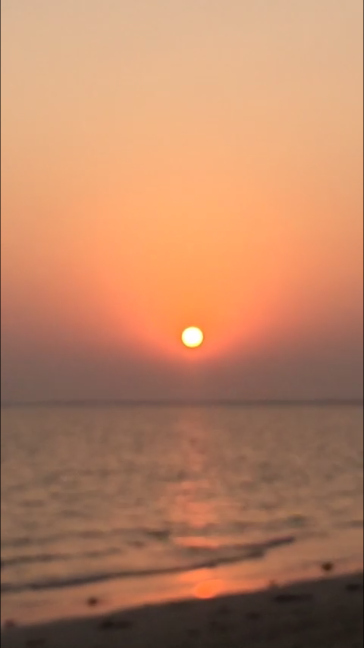 89B65435-547E-4F91-A262-A55BABB8D838.png