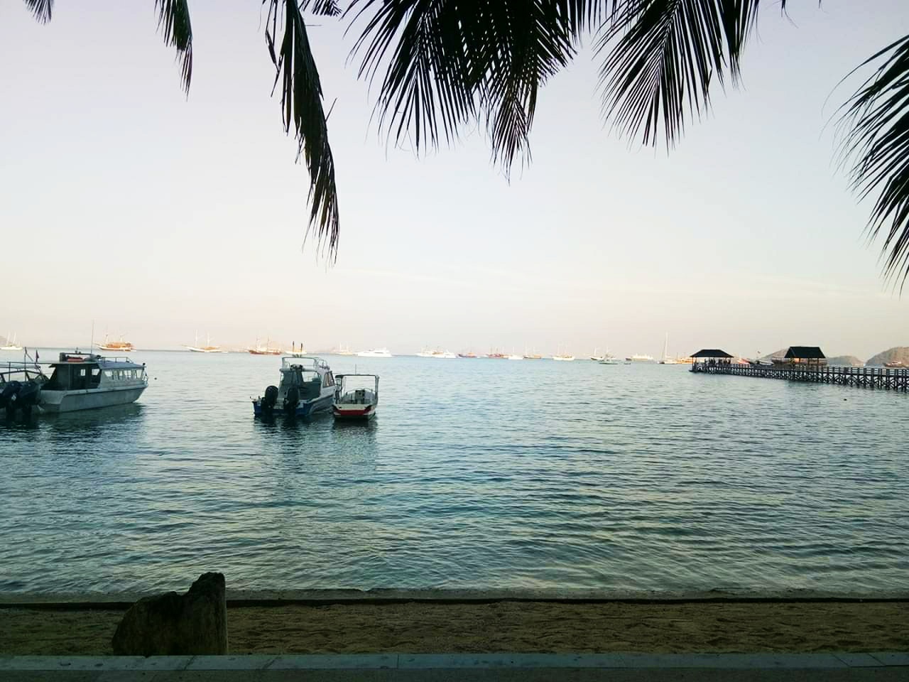 IMG_20190730_040141.jpg