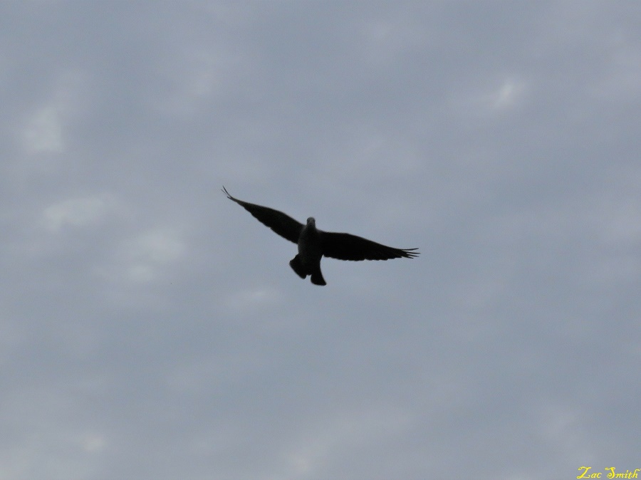 IMG_8030.JPG