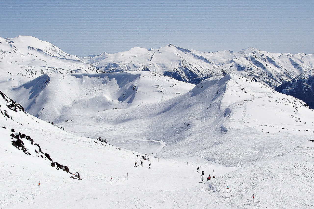 Whistler.jpg