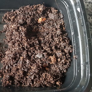 GARDENING 25.jpg