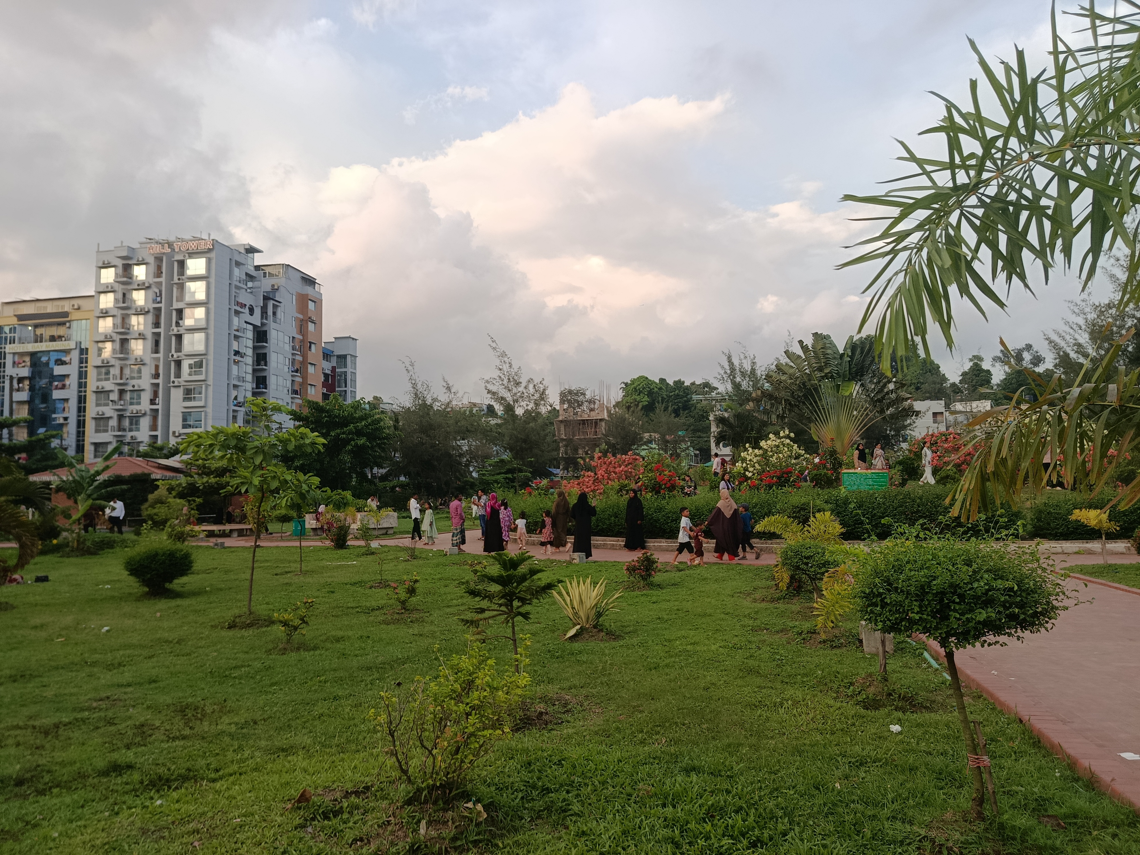 IMG_20260601_181017.jpg