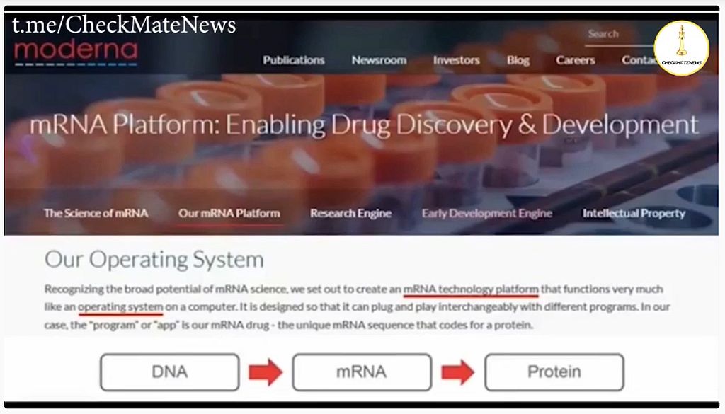 Spike-Proteine für Dummies von Dr. Andrew Wakefield.jpg