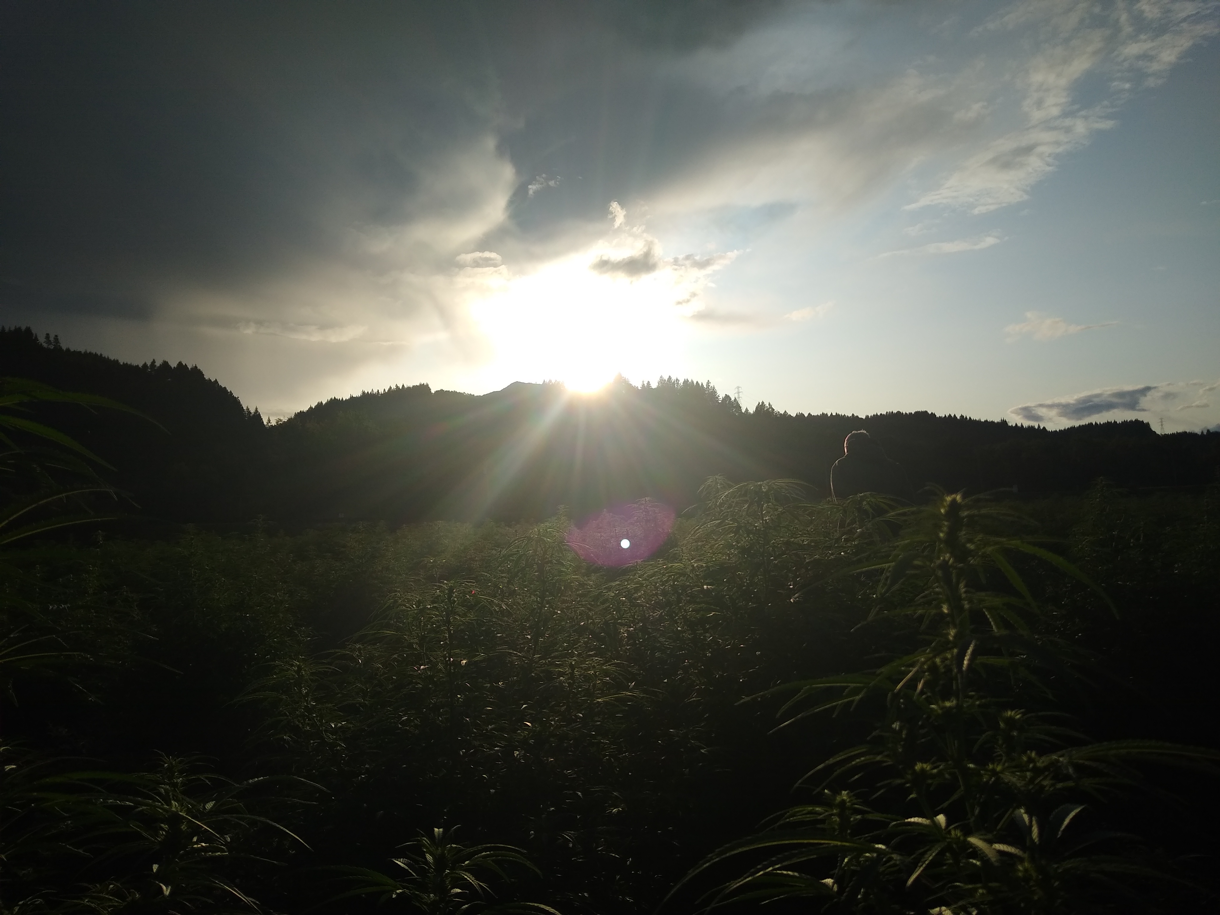 IMG_20190918_181357568.jpg