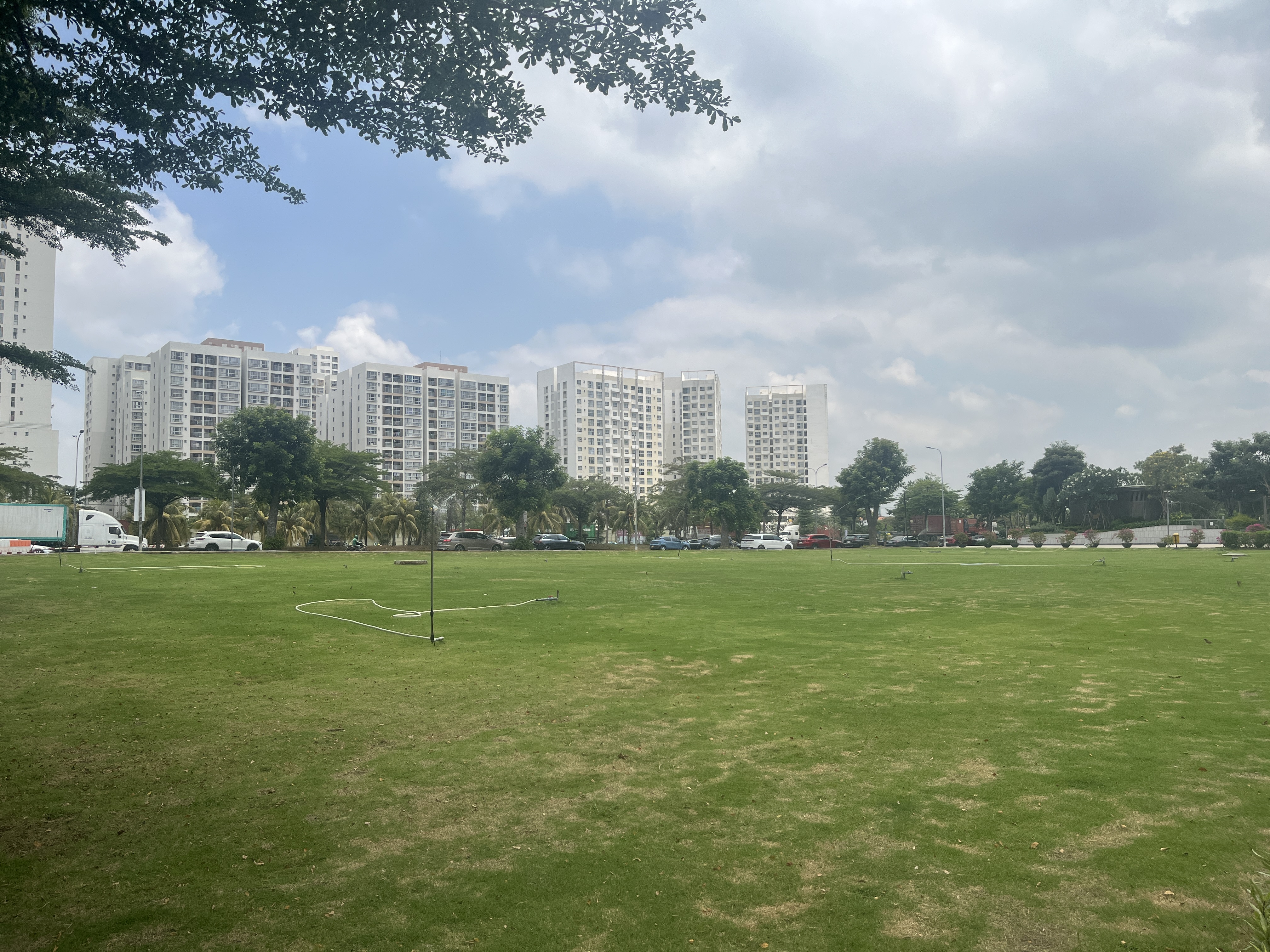 IMG_1977.jpeg