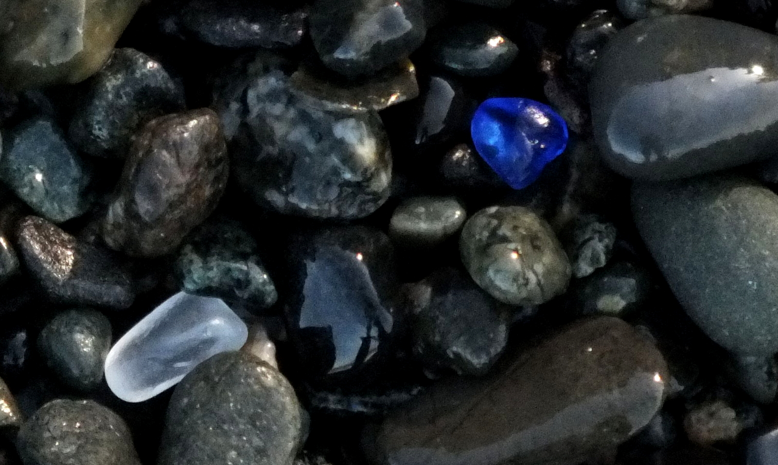 1209-BeachGlass.jpg