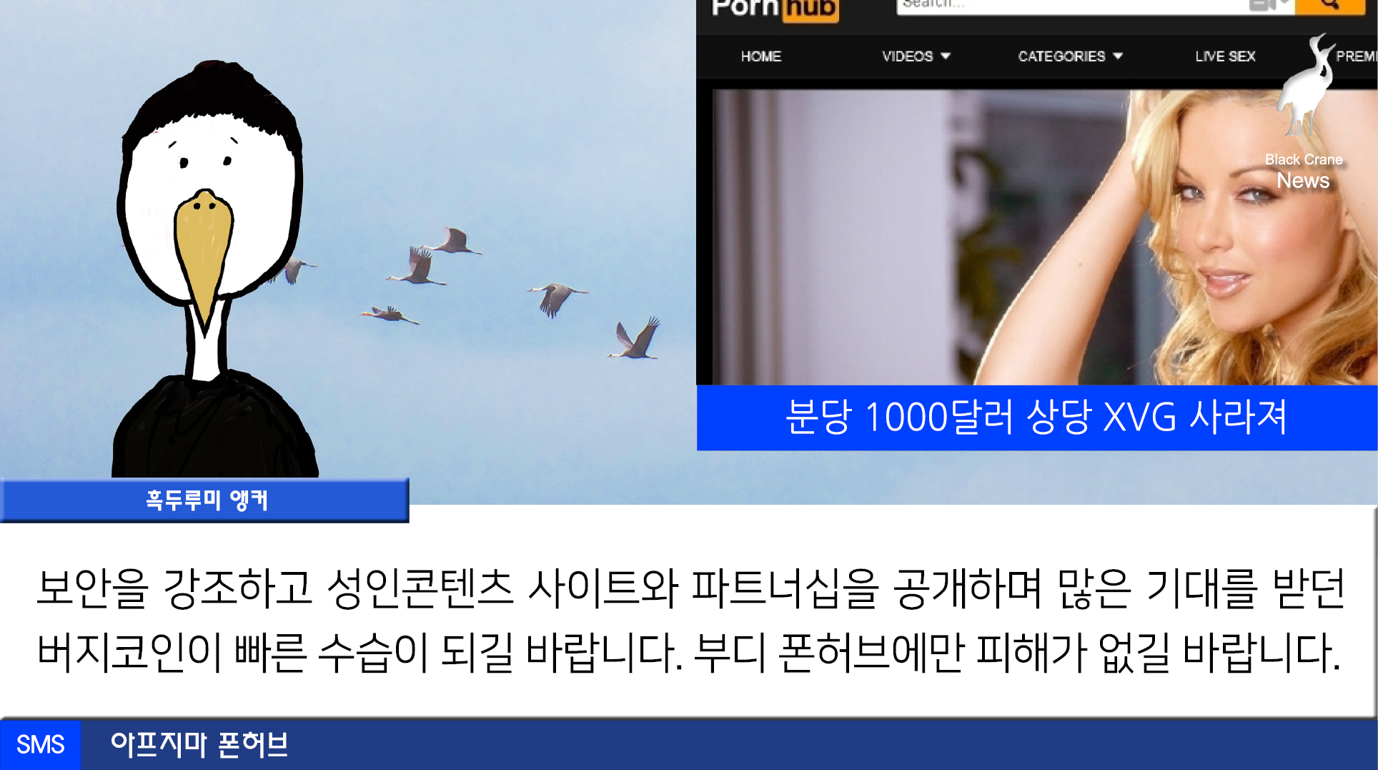 0523_black crane news8.png