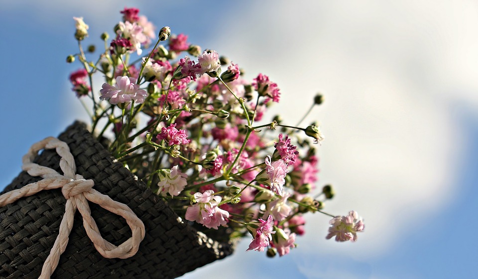 gypsophila-1716747_960_720.jpg