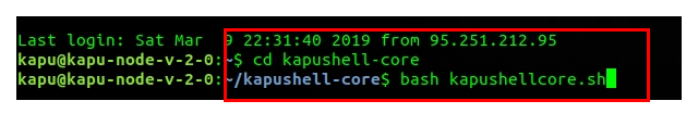 11_run_kapushell-core.png