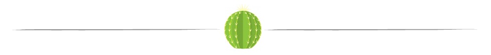 SEPARADOR cactus.j222pg.jpg
