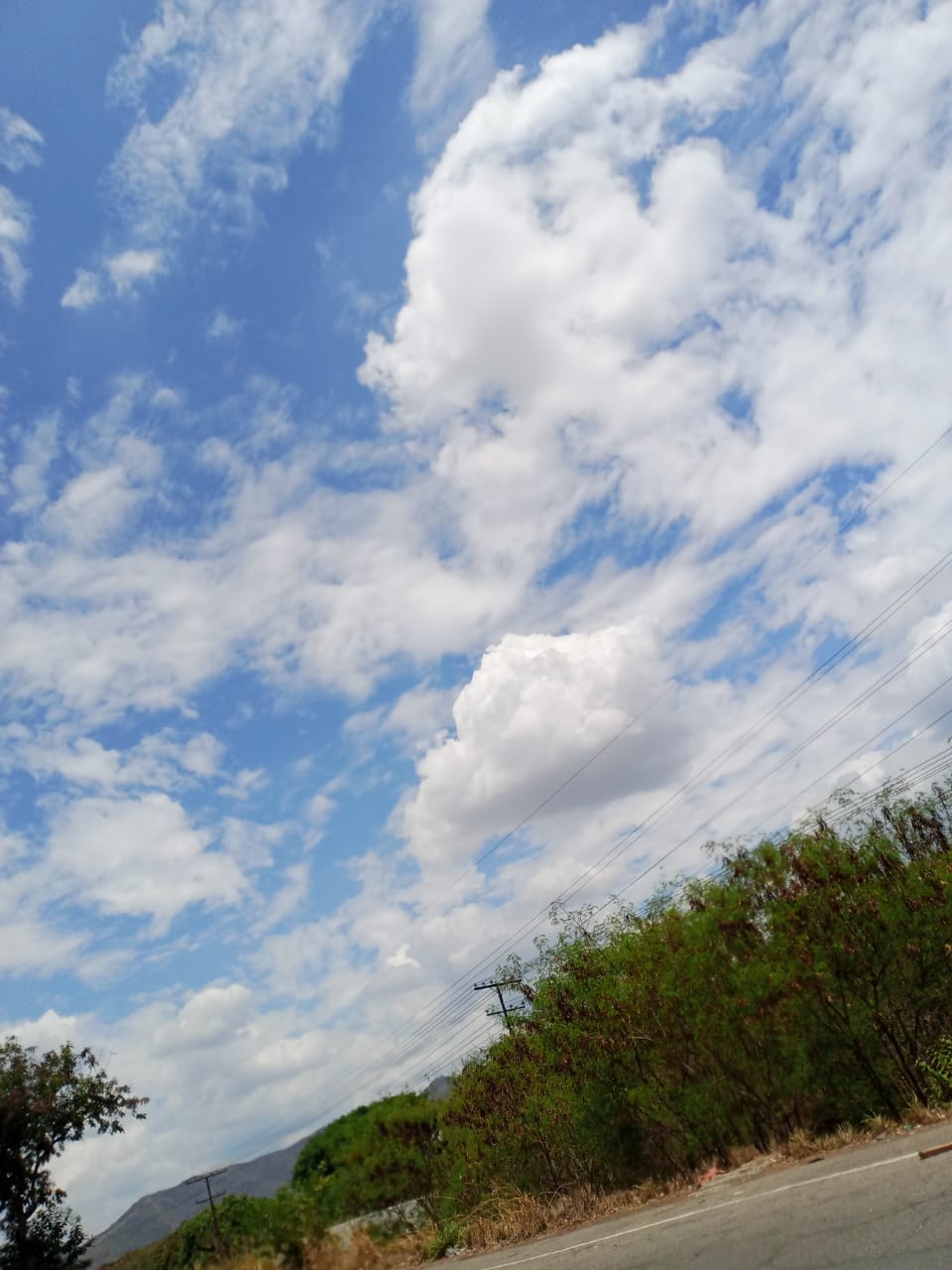 1e3a888be4f5433eb3af8065e4bbb2b5.jpg