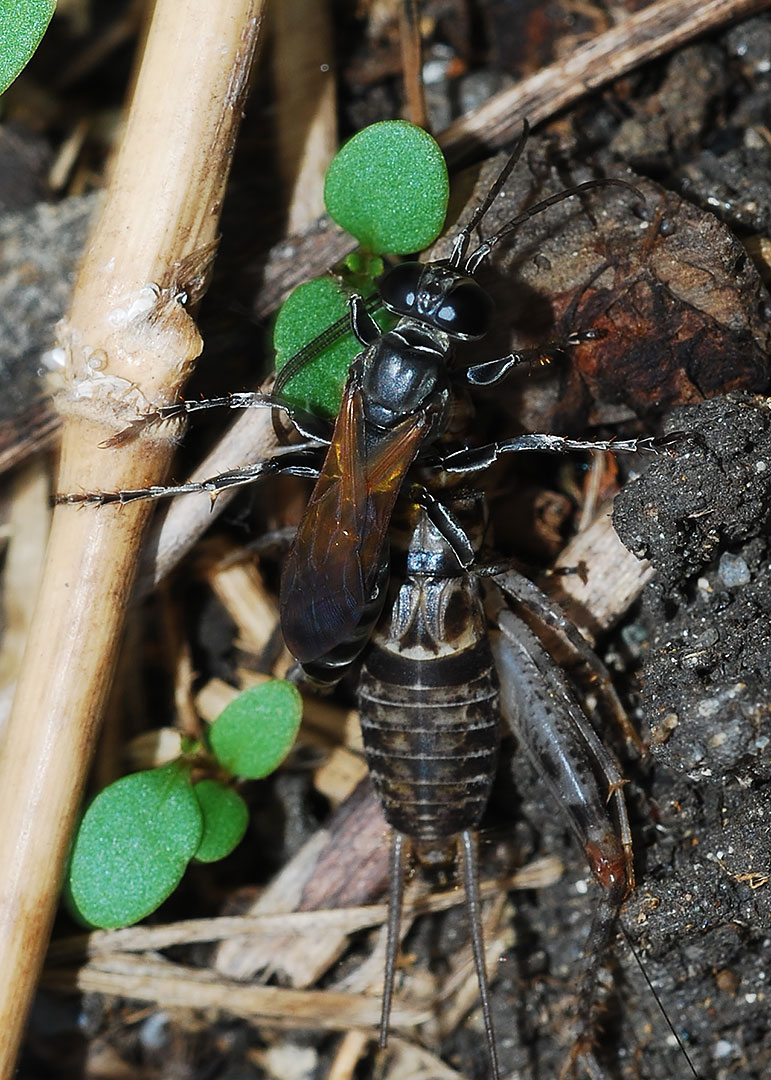 DSC_6146.jpg