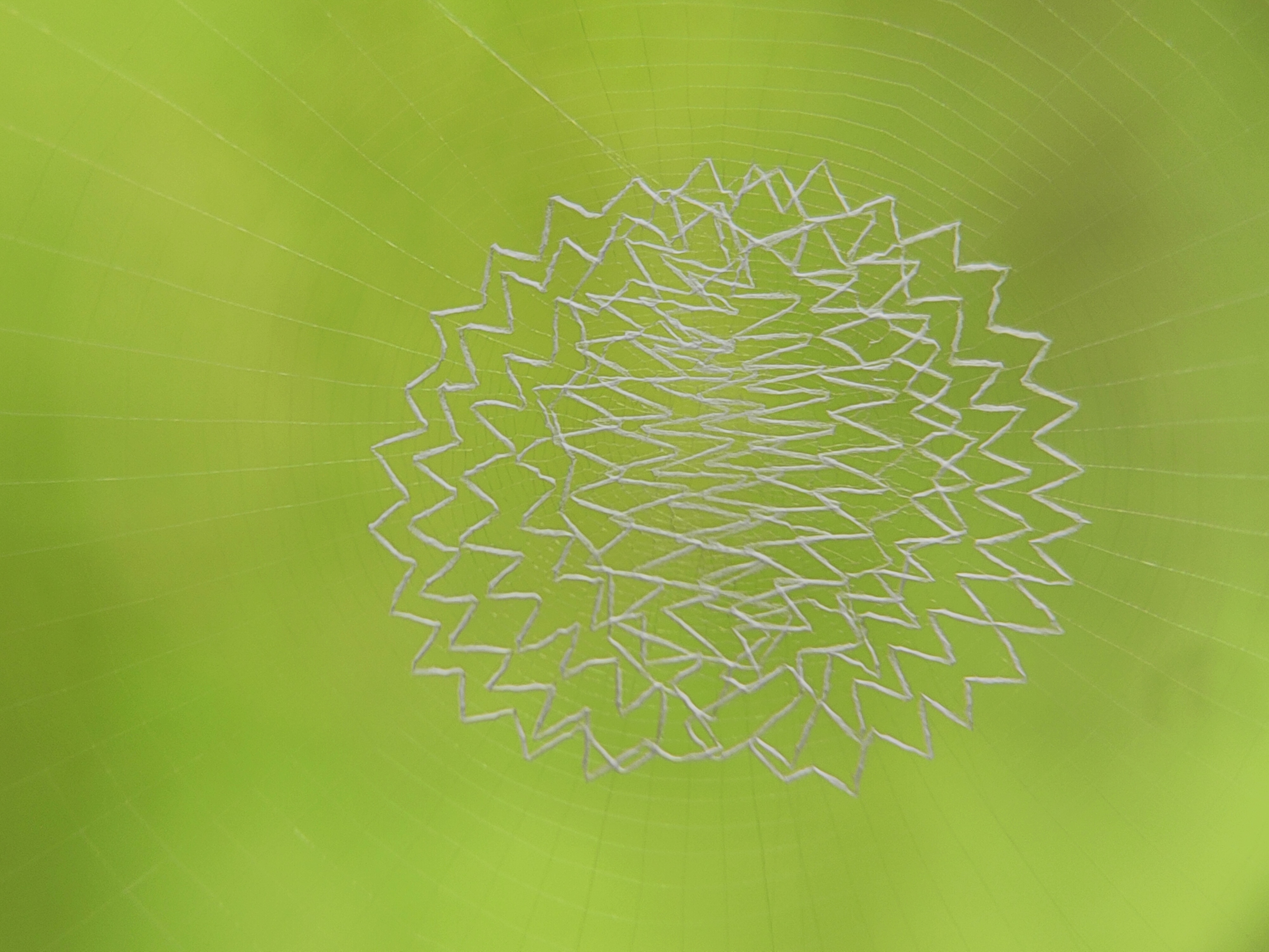 IMG20230918092012.jpg