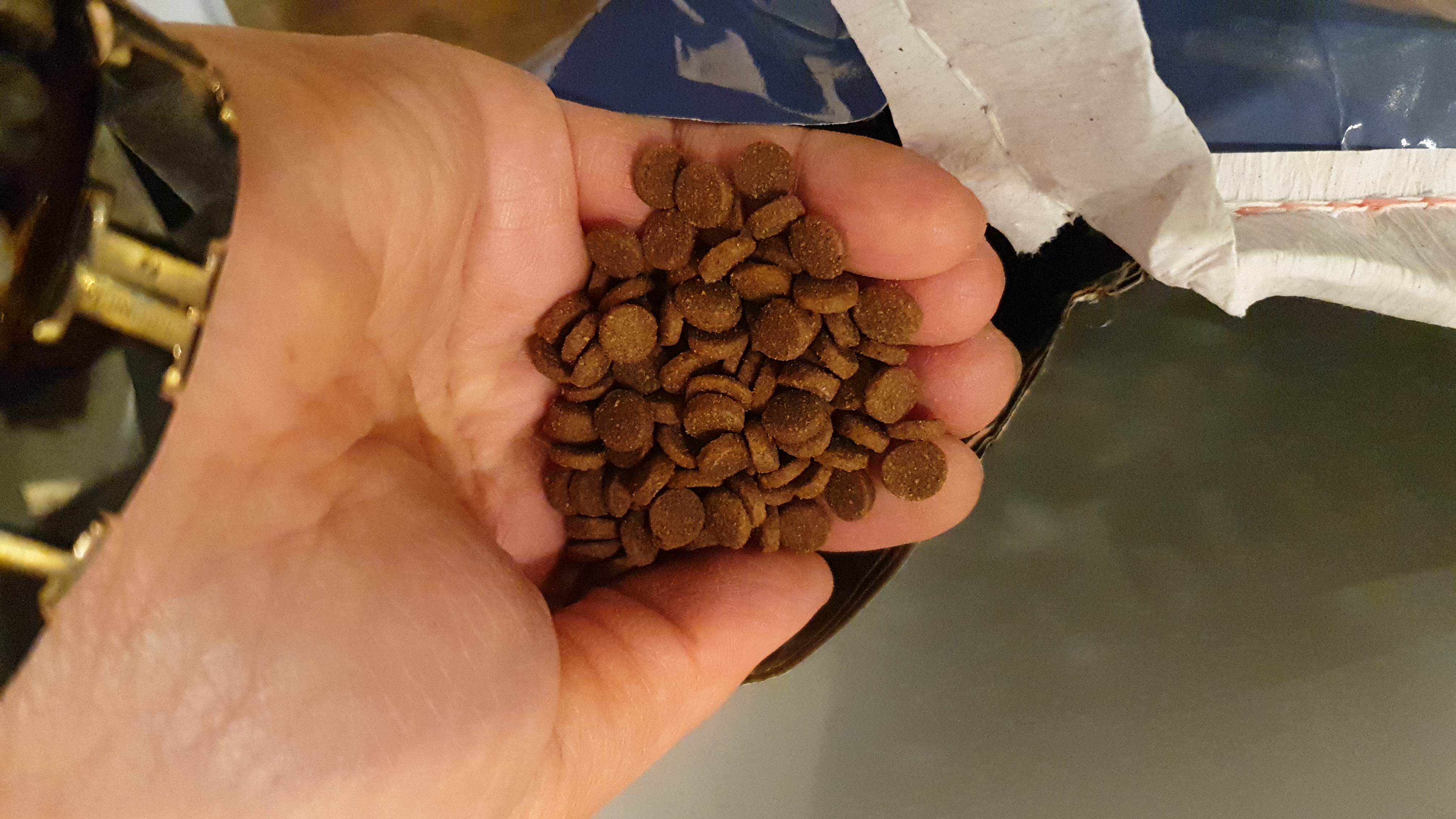 20190313_195430.jpg