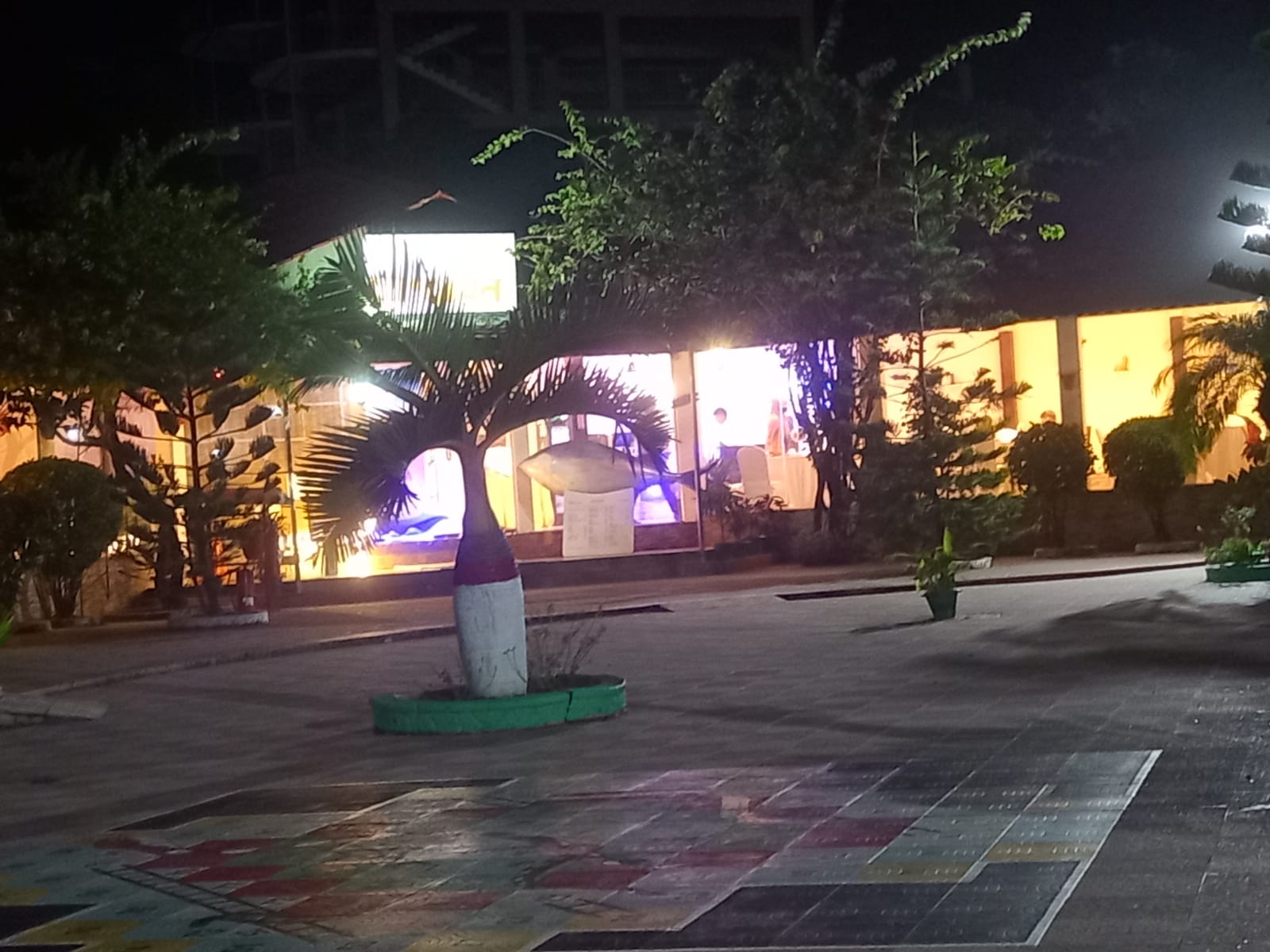 n.jpg