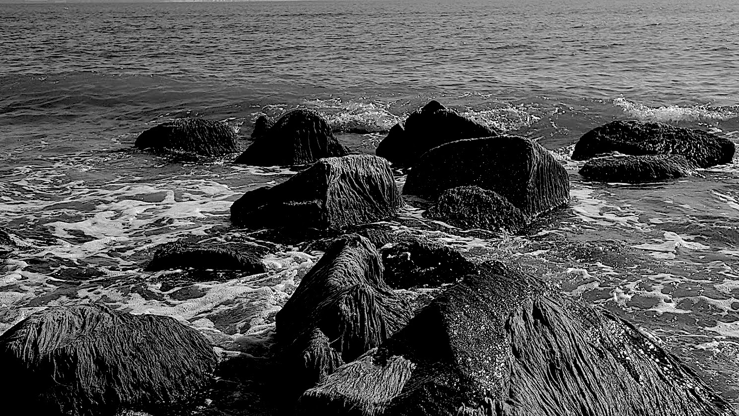 20180910_095911.jpg