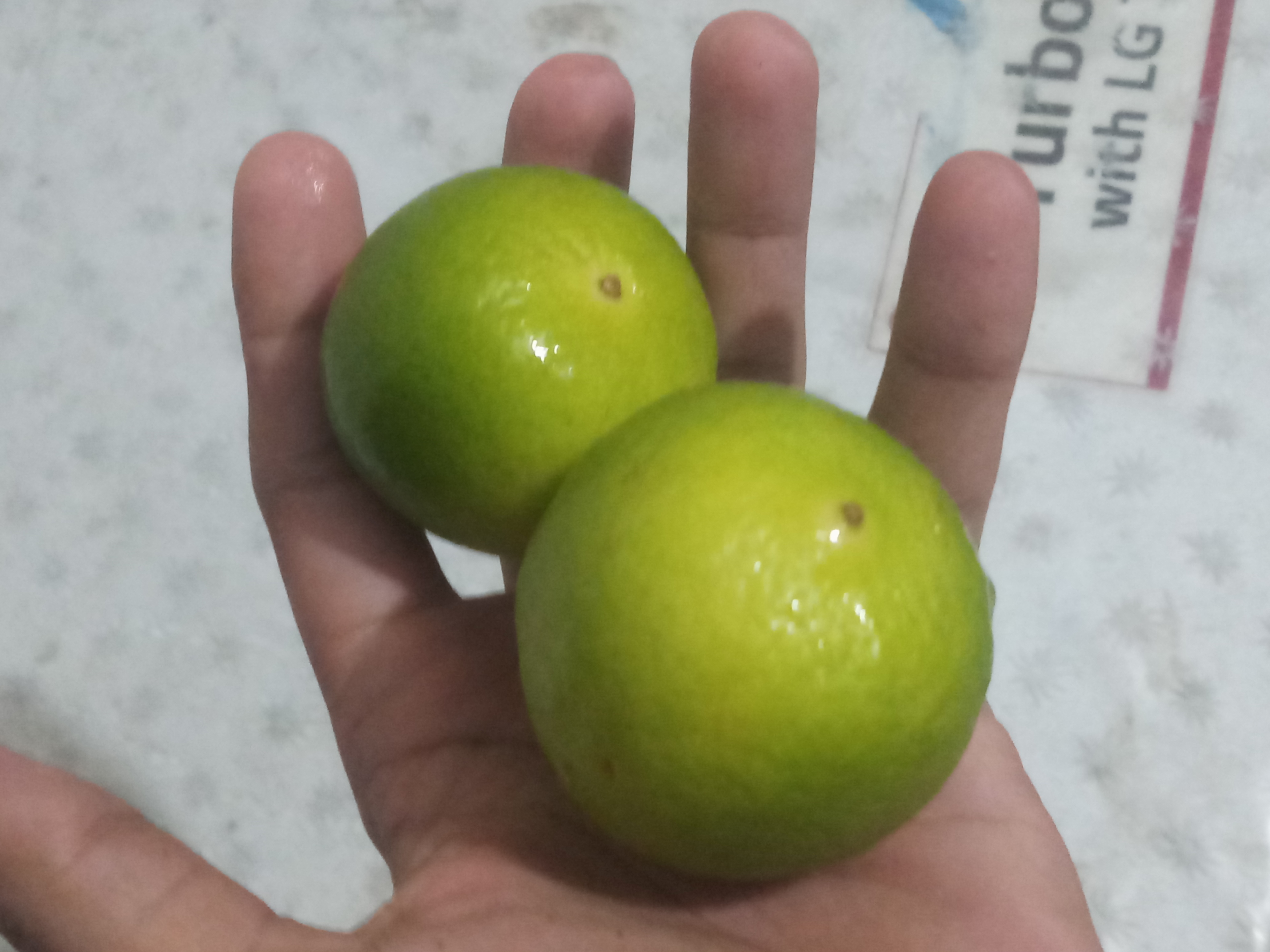 20191002_193921.jpg