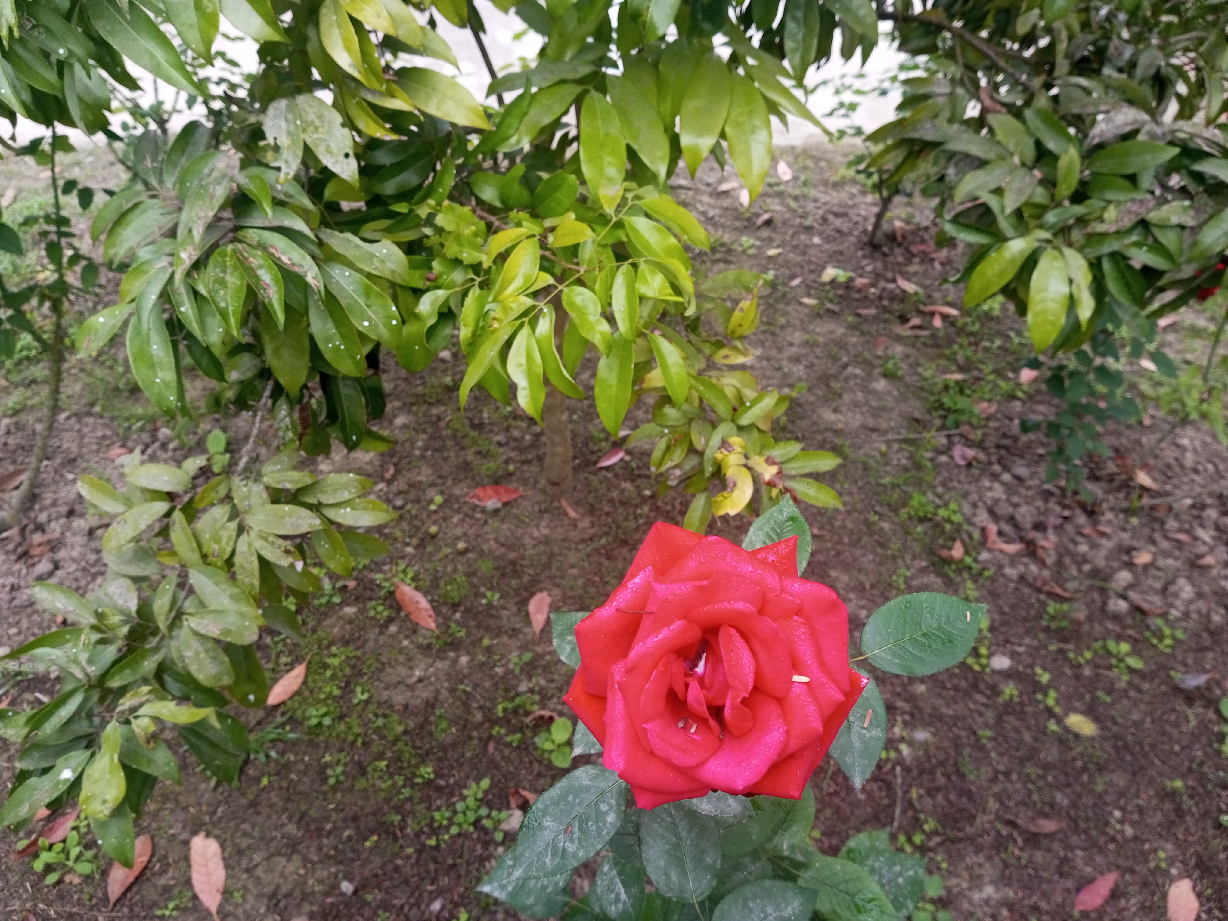 IMG_20230106_092336_094.jpg