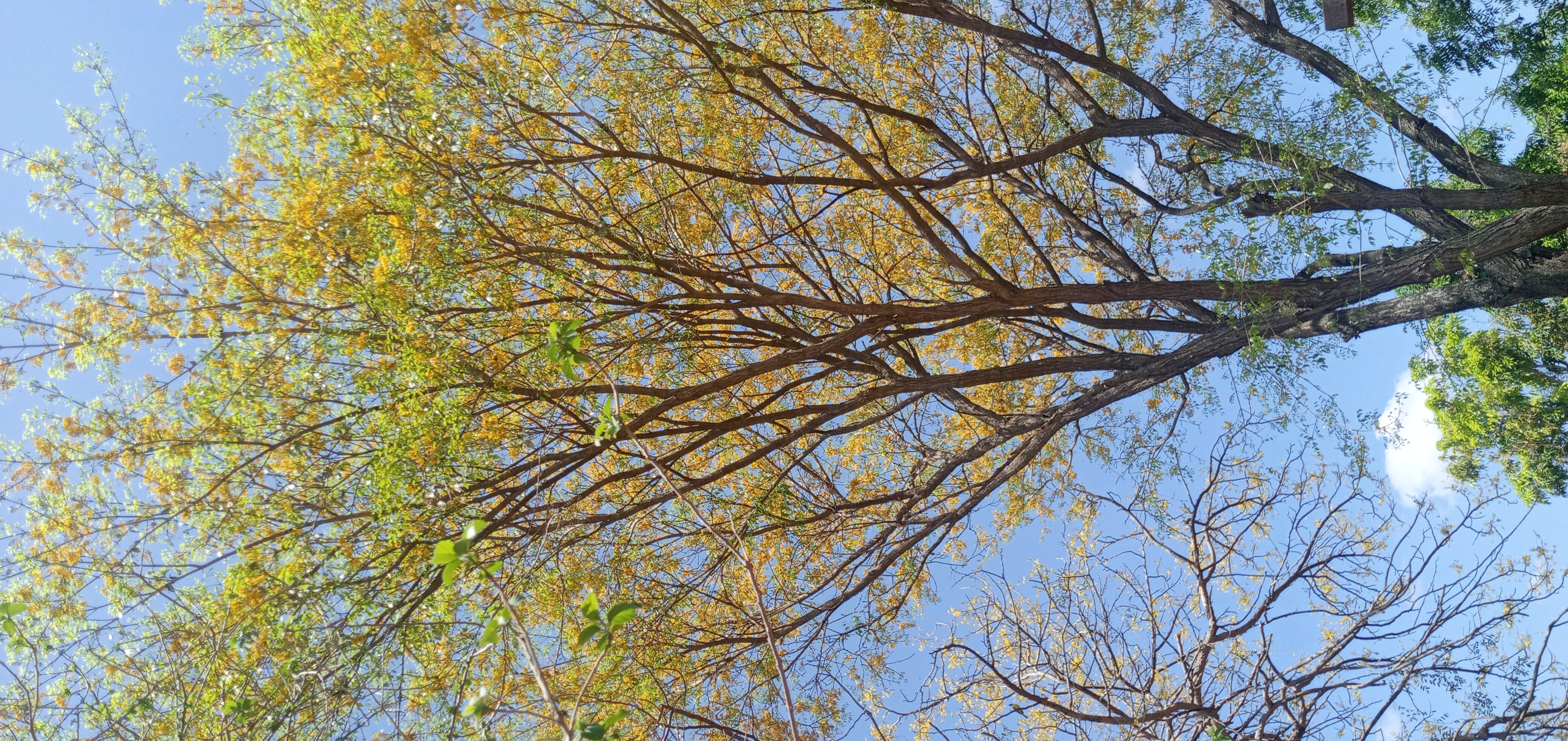 20240216_124129.jpg