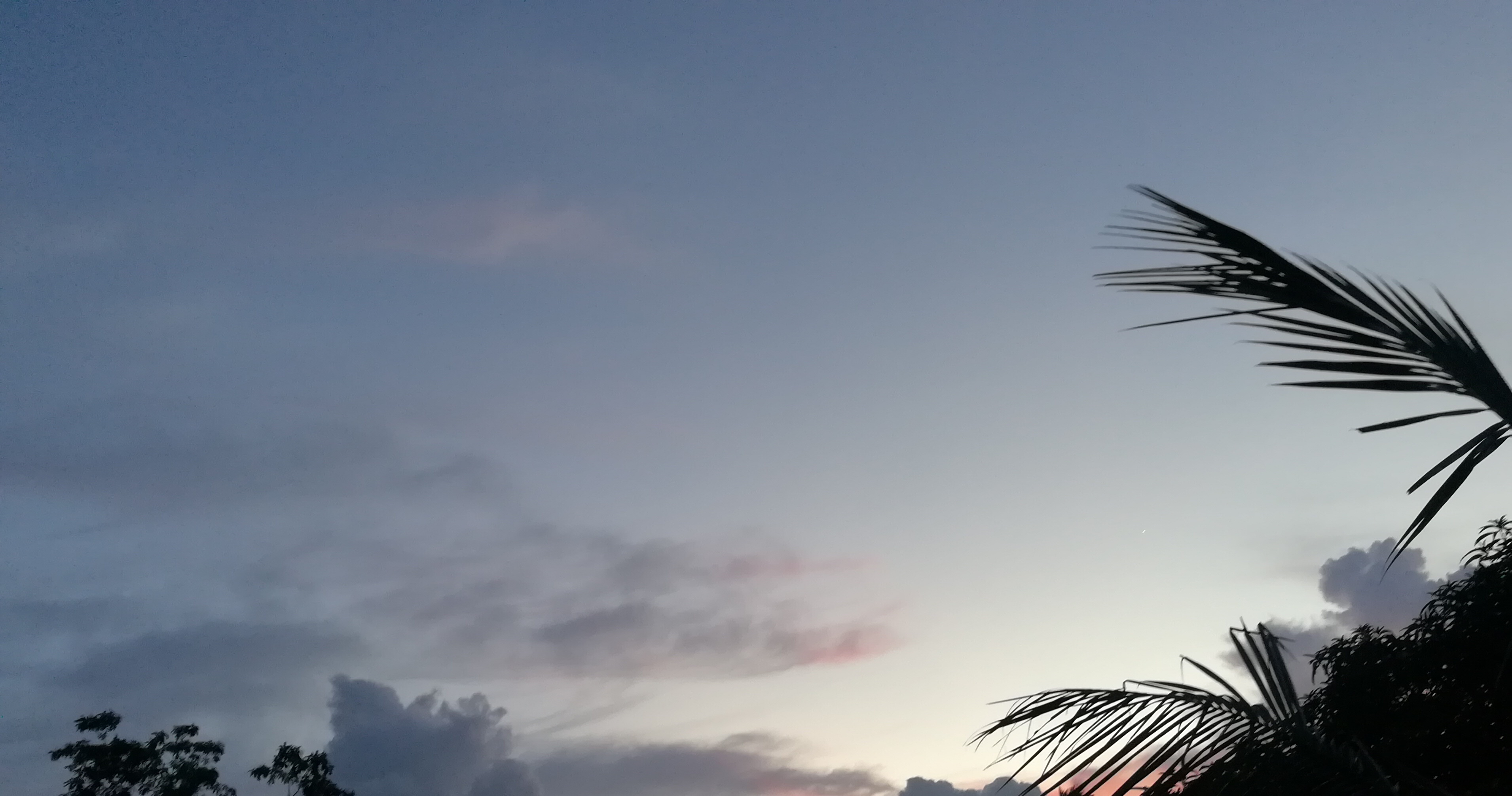 IMG_20210723_224416.jpg