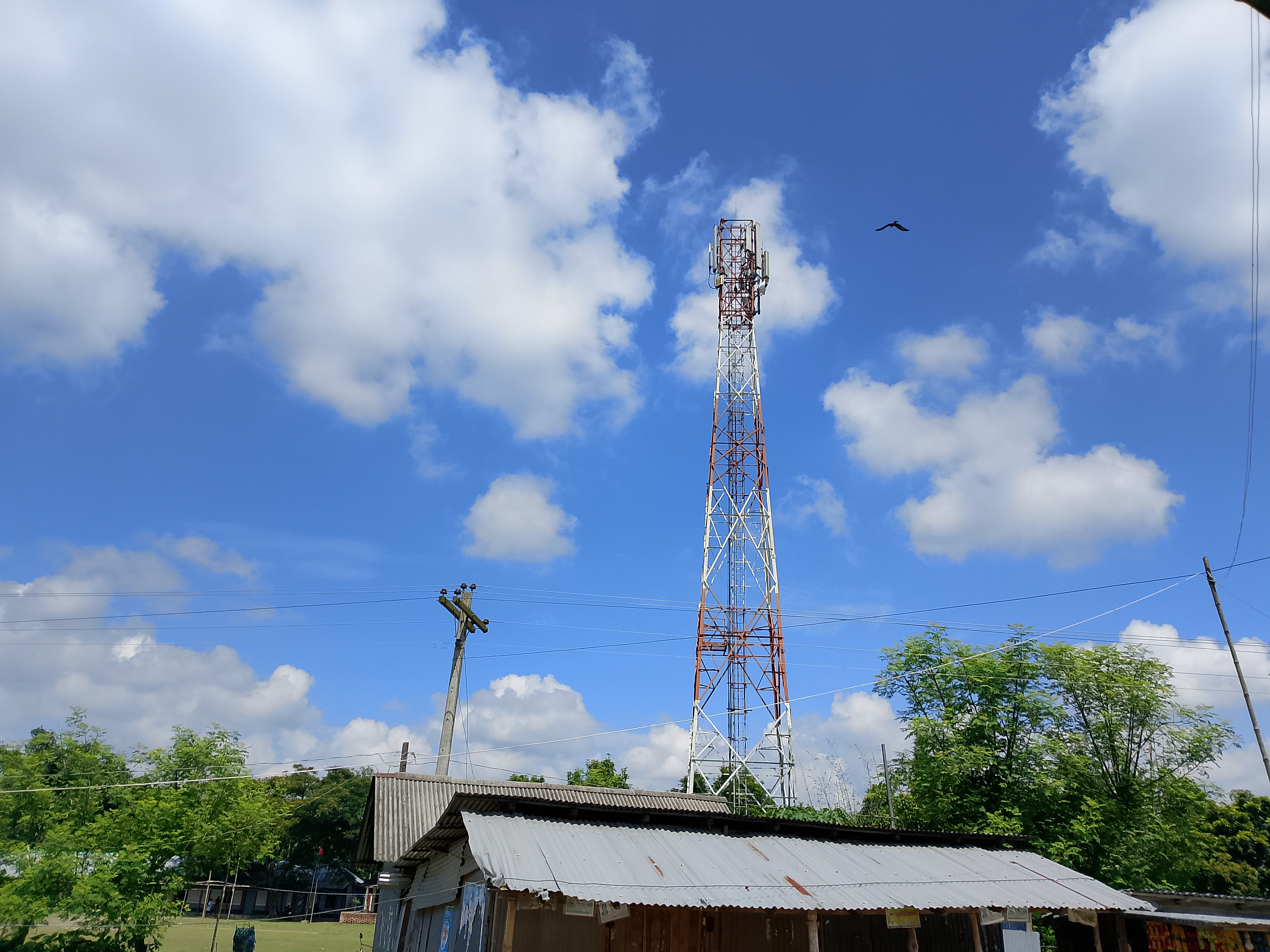 1000073867.jpg